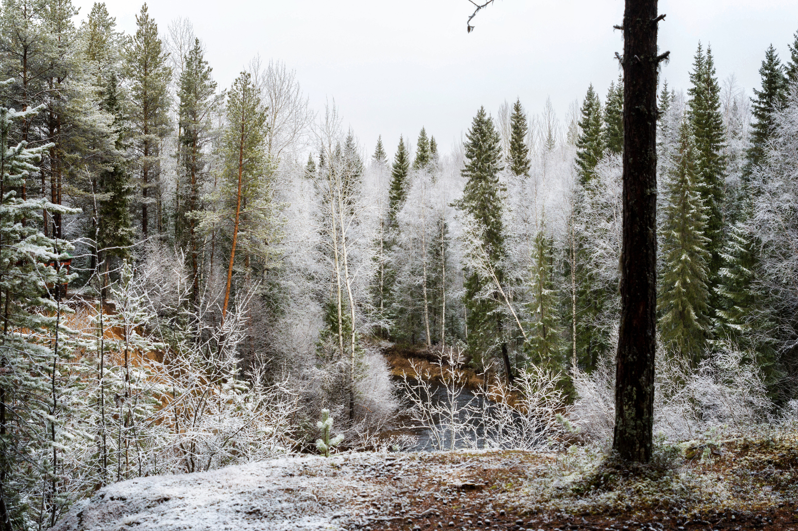 Разное. Фотограф в с. Ижма Республика Коми Терентьев Сергей