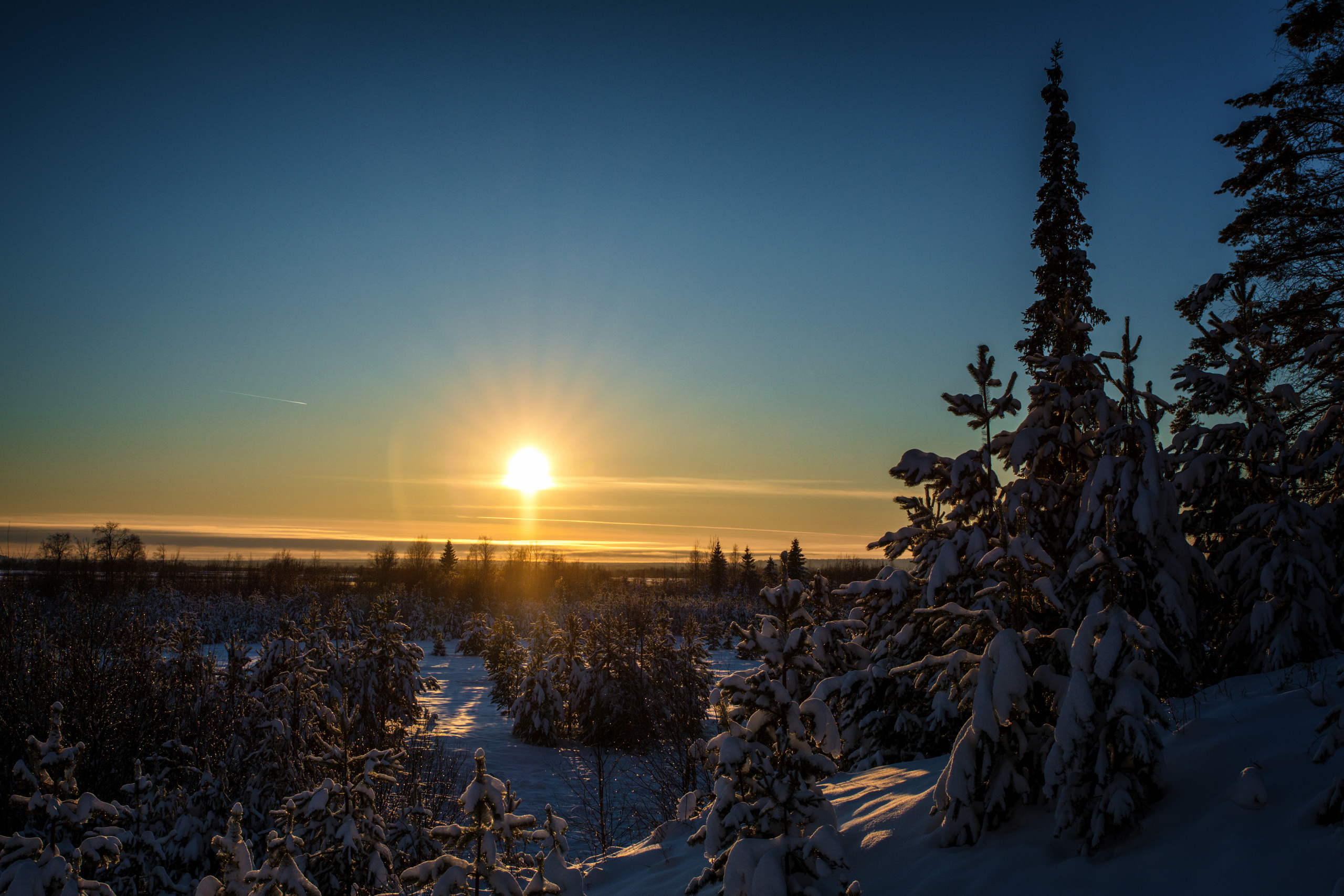 Разное. Фотограф в с. Ижма Республика Коми Терентьев Сергей