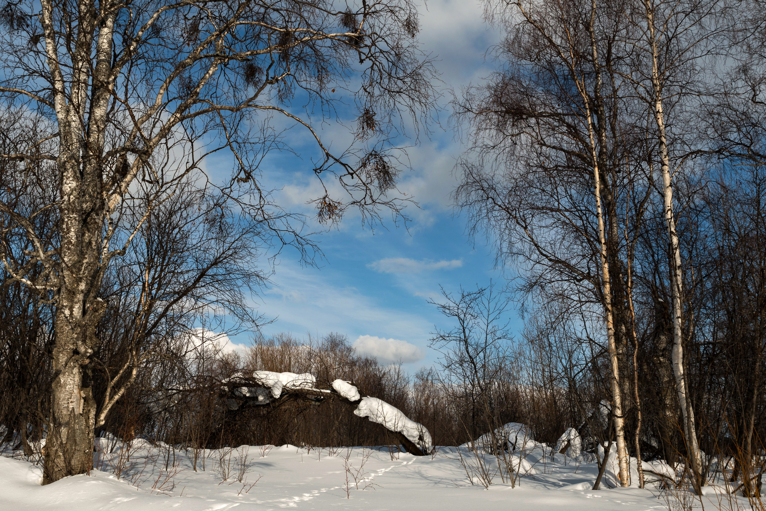 Зимняя дорога. Фотограф в с. Ижма Республика Коми Терентьев Сергей