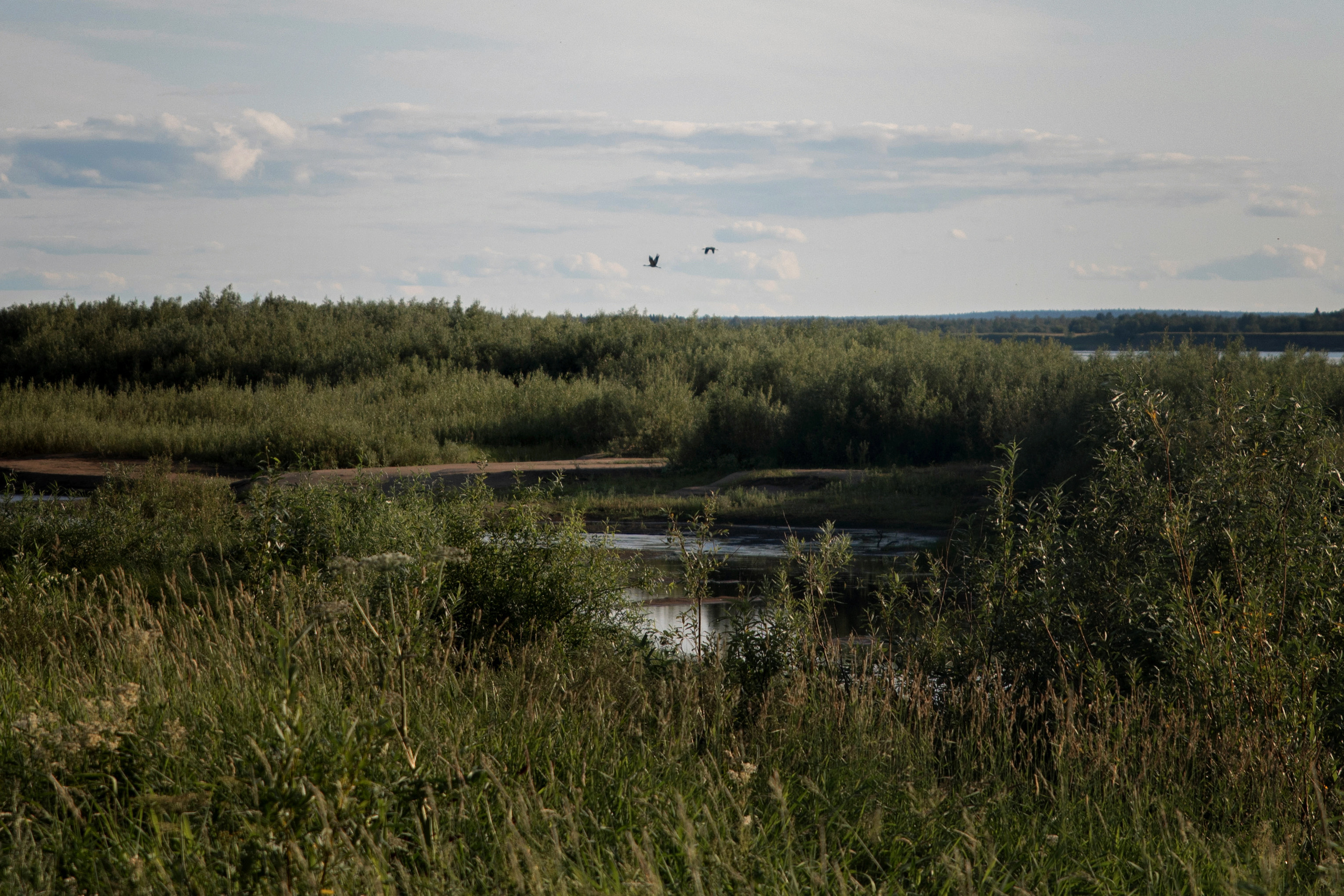 Лето. Фотограф в с. Ижма Республика Коми Терентьев Сергей