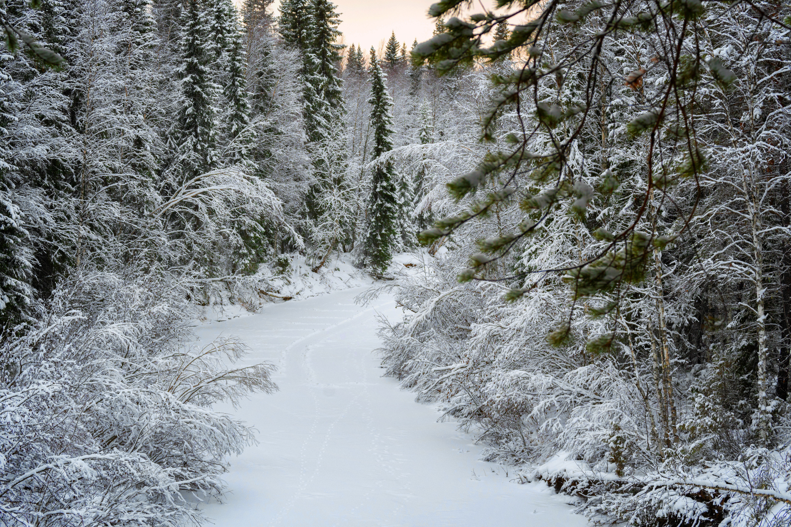Разное. Фотограф в с. Ижма Республика Коми Терентьев Сергей