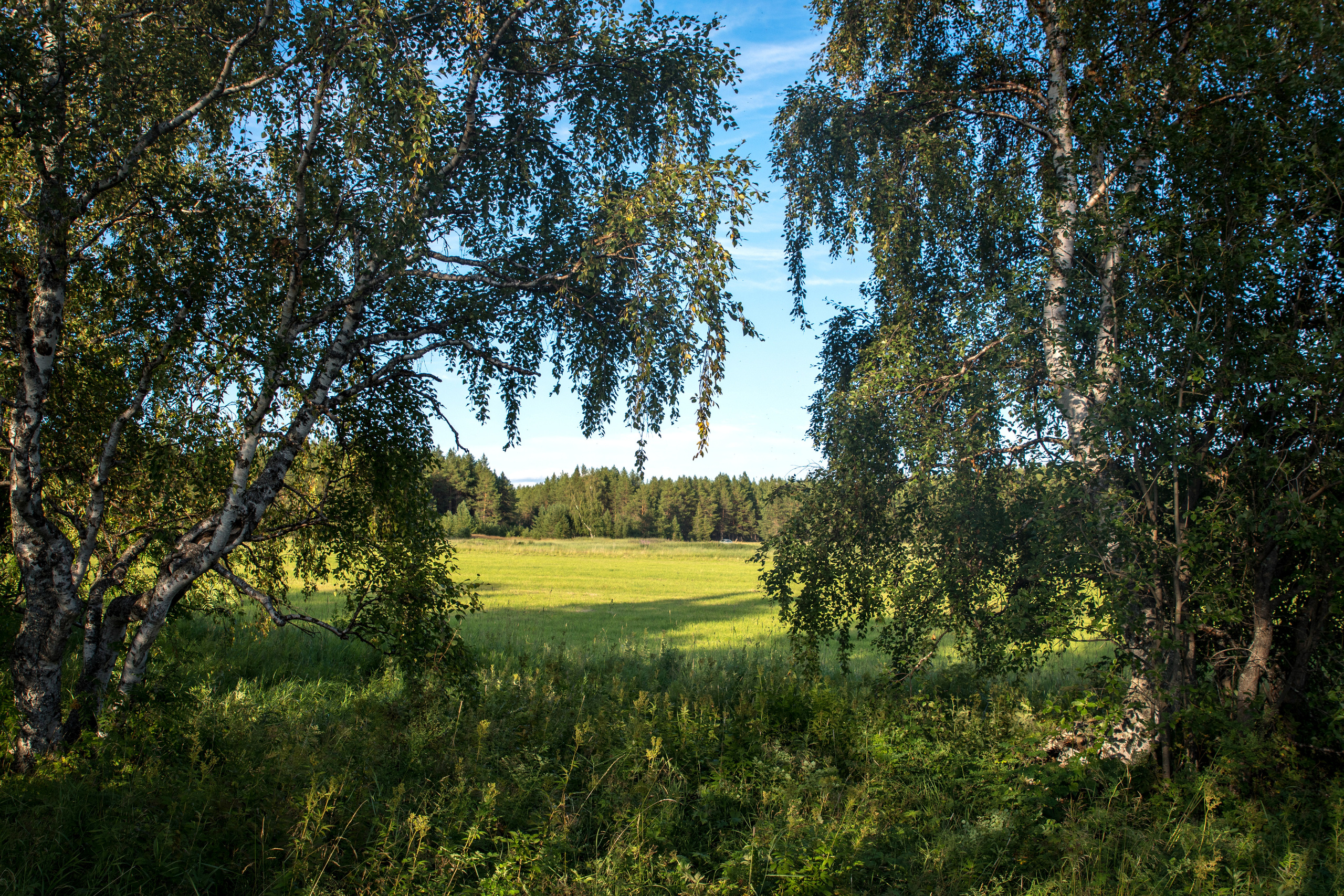 Лето. Фотограф в с. Ижма Республика Коми Терентьев Сергей