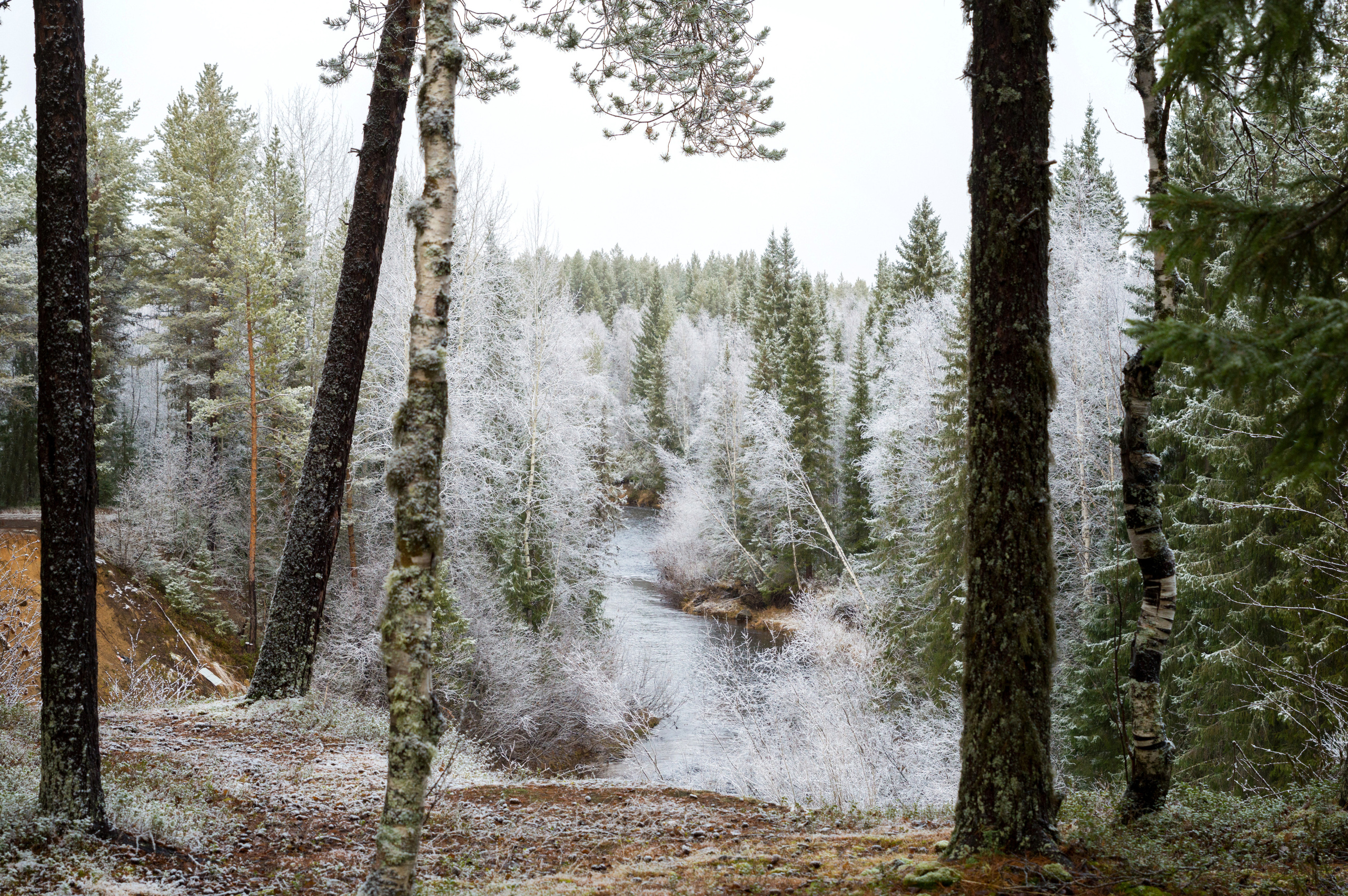 Разное. Фотограф в с. Ижма Республика Коми Терентьев Сергей