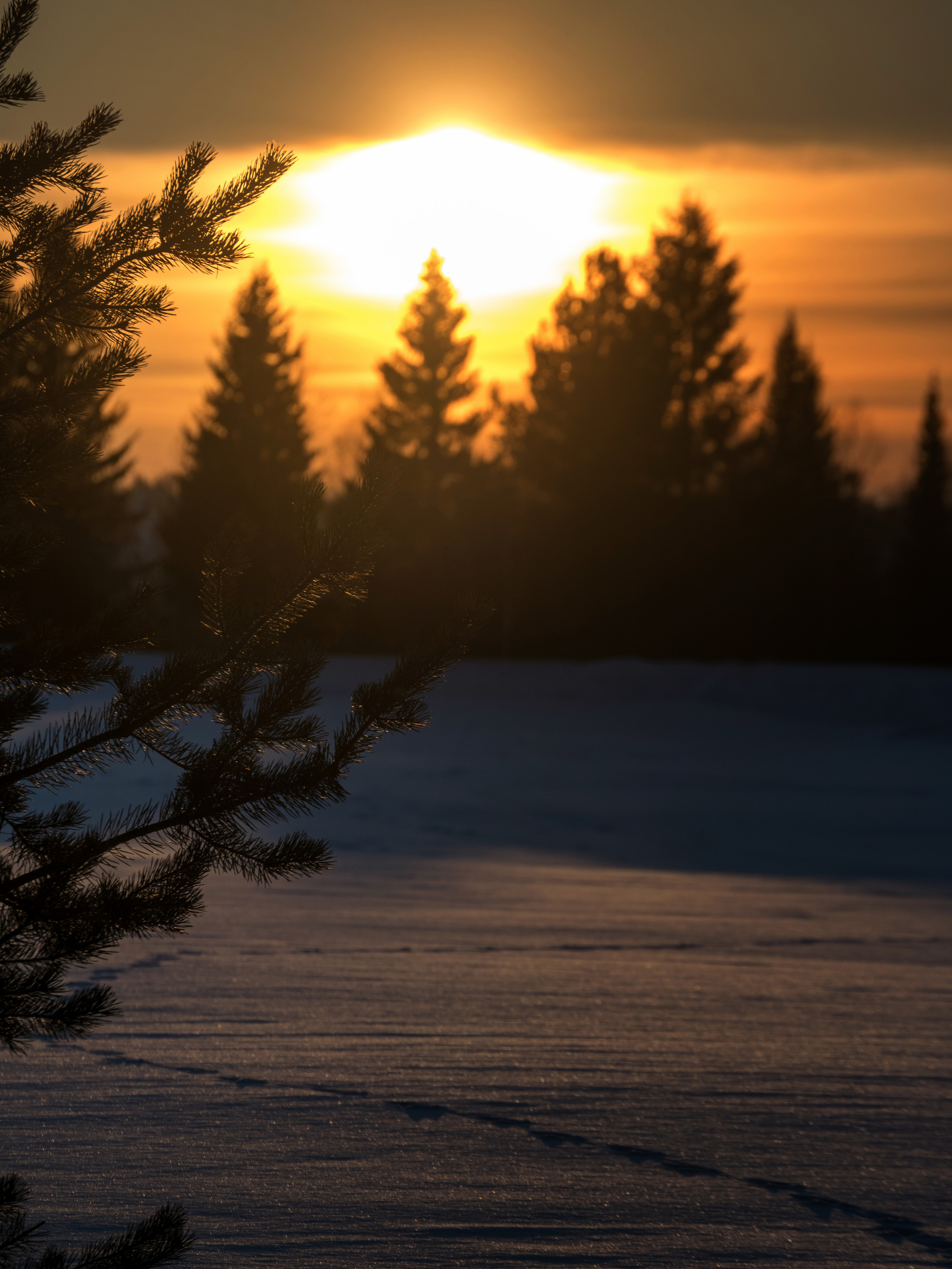 Зимний закат. Фотограф в с. Ижма Республика Коми Терентьев Сергей