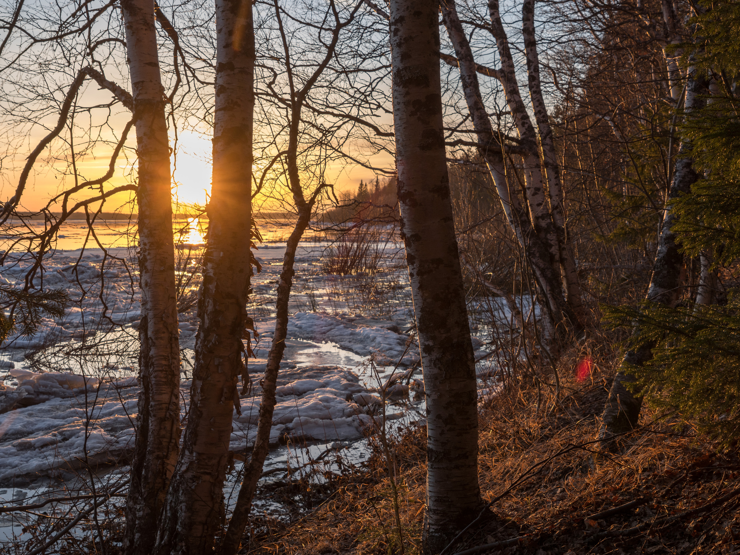 Ледоход на Ижме. Фотограф в с. Ижма Республика Коми Терентьев Сергей