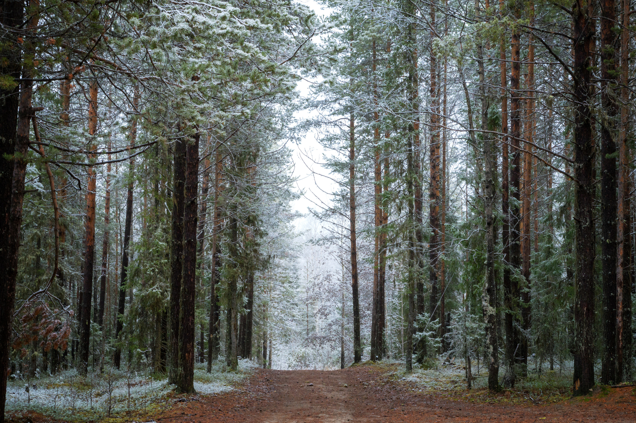 Разное. Фотограф в с. Ижма Республика Коми Терентьев Сергей