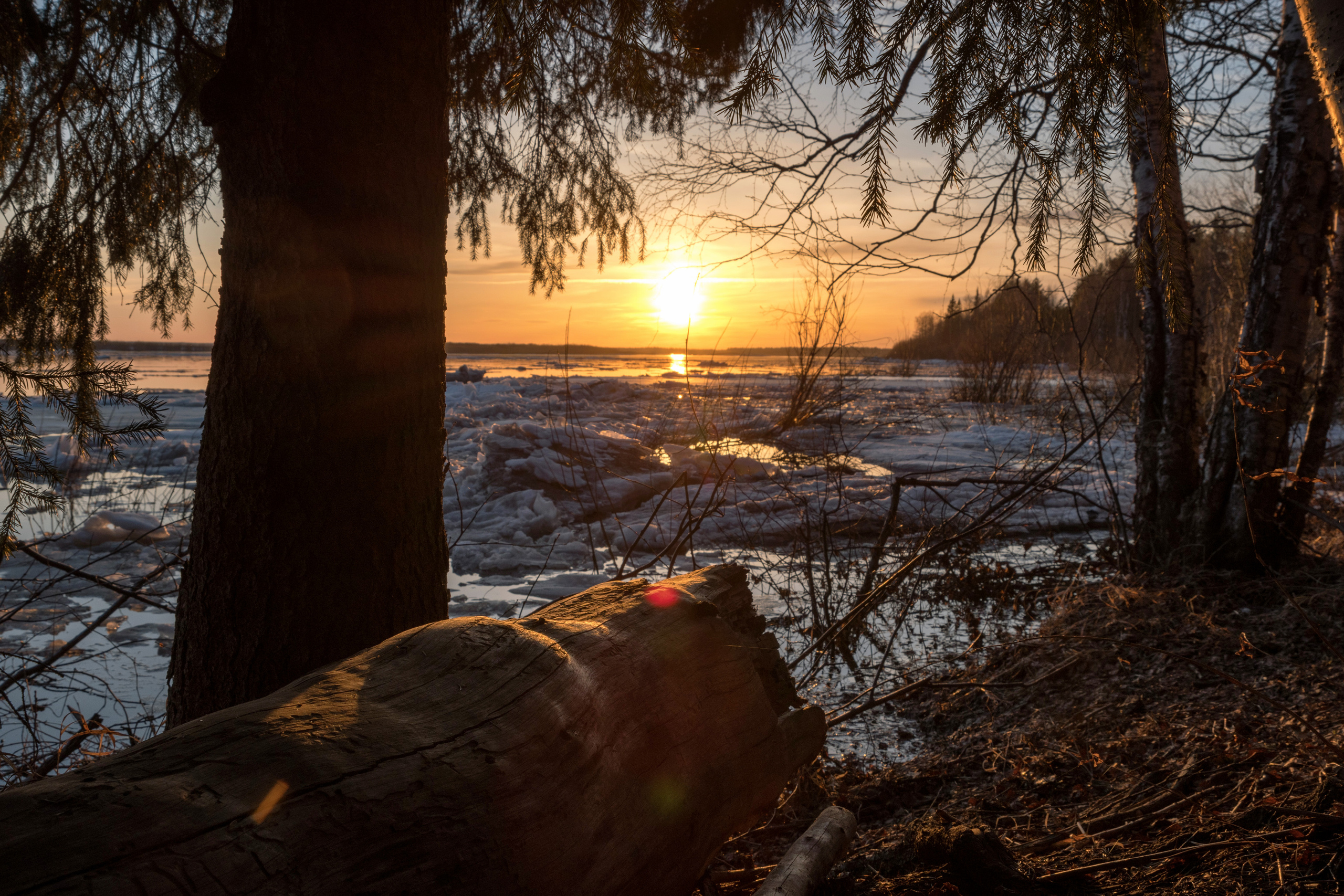 Ледоход на Ижме. Фотограф в с. Ижма Республика Коми Терентьев Сергей