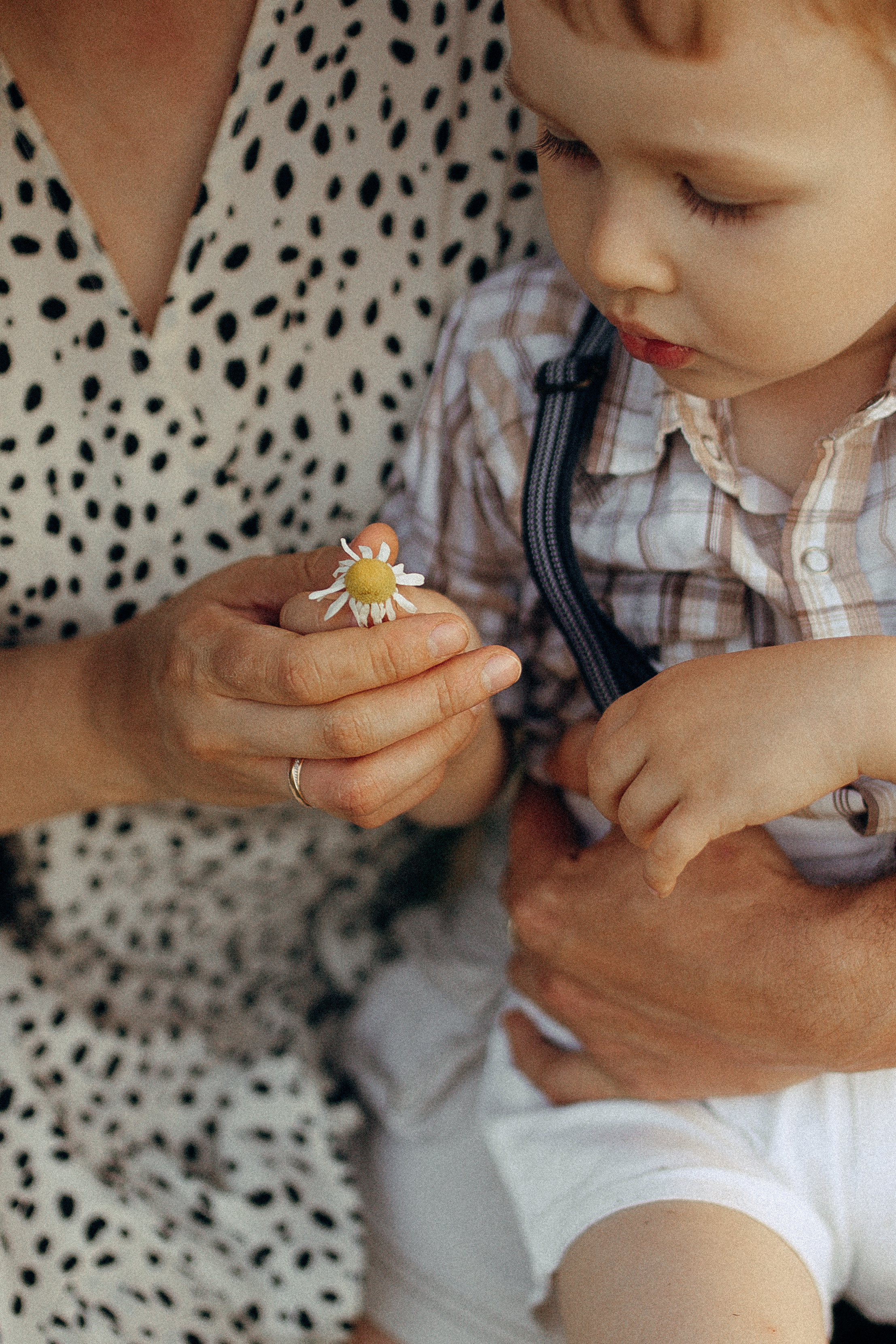 Анна и семья. Фотограф Челябинск Юлия Ермакова