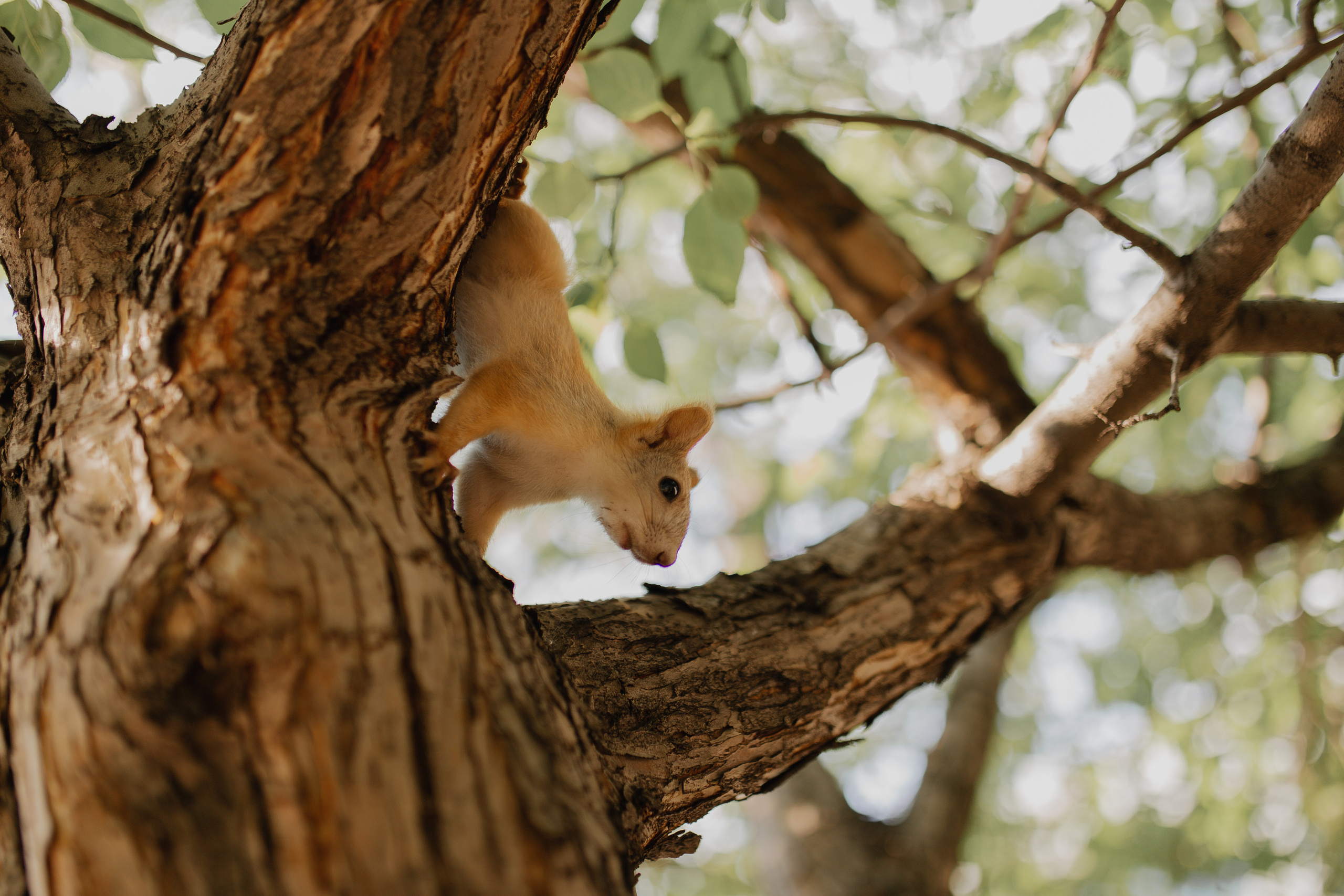 Маша и Стас. Фотограф Челябинск Юлия Ермакова