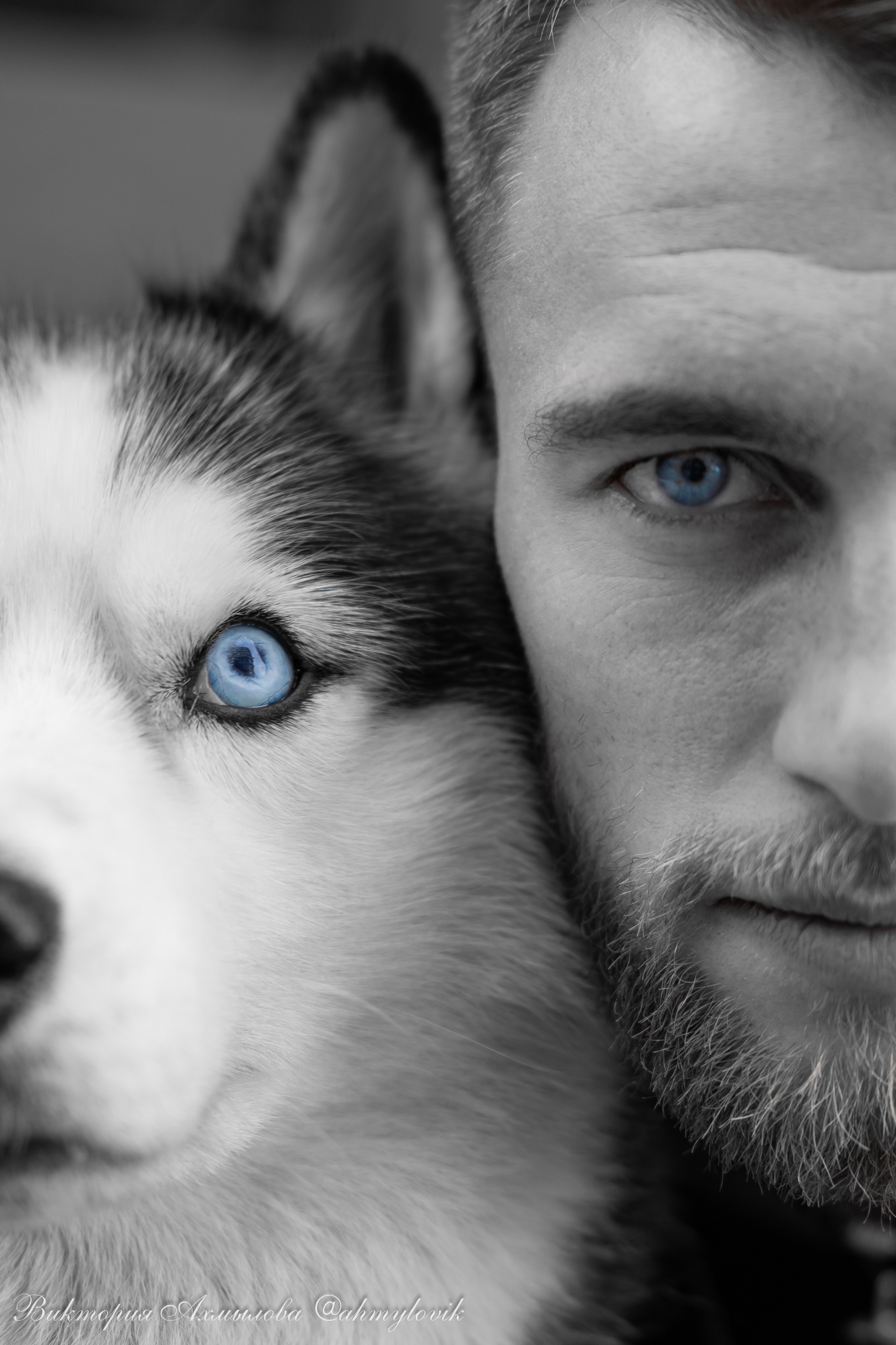 Прогулка с Хаски (Сергей). Виктория Ахмылова. Фотограф в Москве