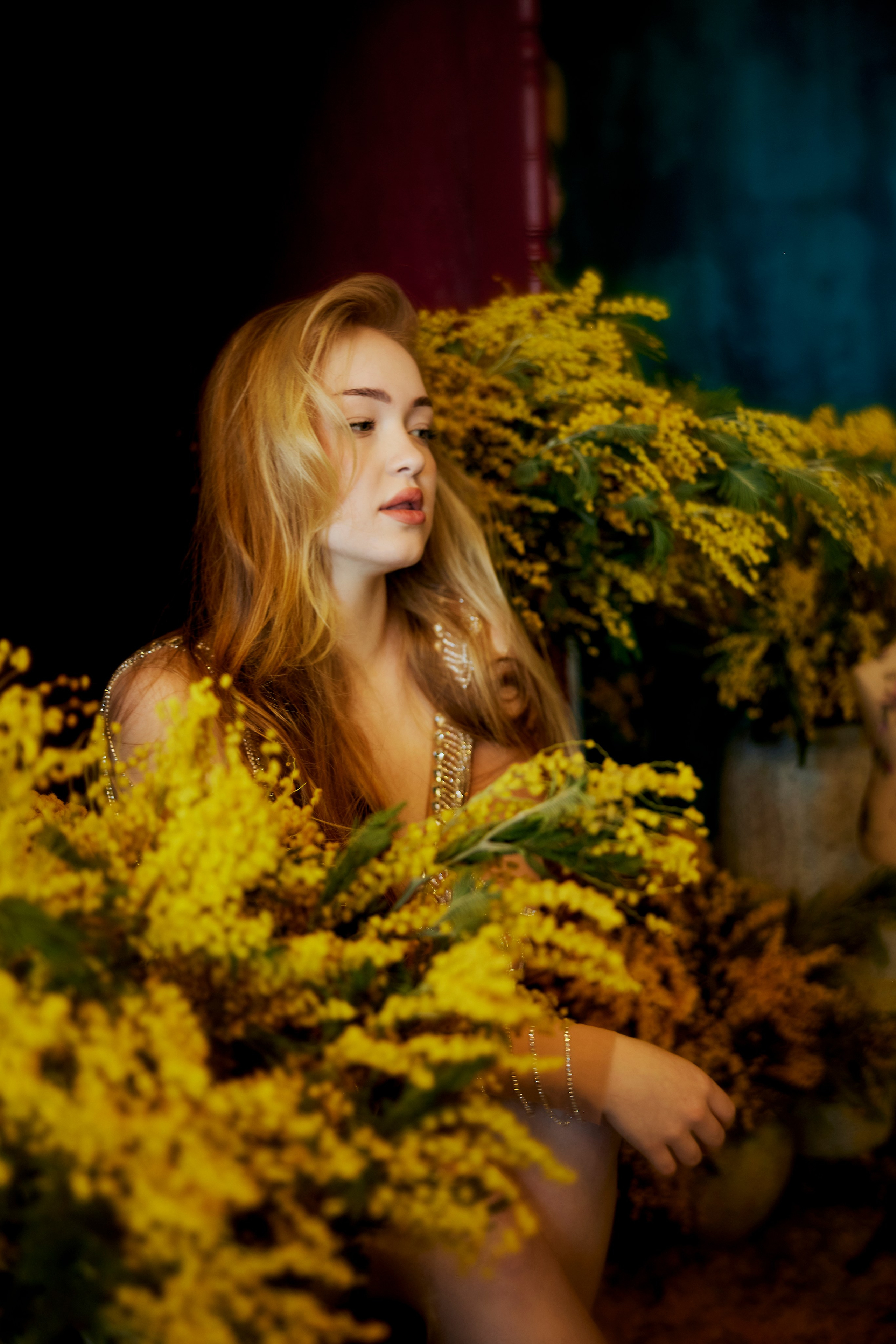 Мимоза 2. Сергей Ирклиенко