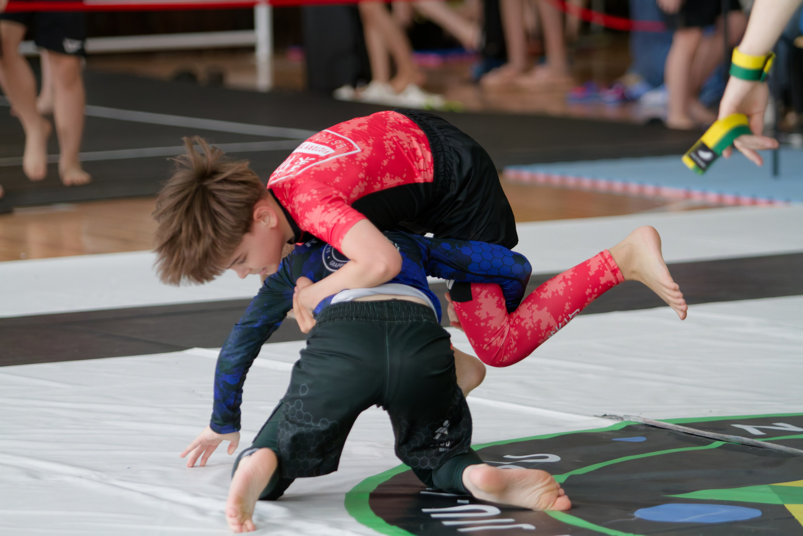 Борьба. Джиу-джитсу 26.04.2025. Репортажный и спортивный фотограф в г. Пермь Зильберг Павел