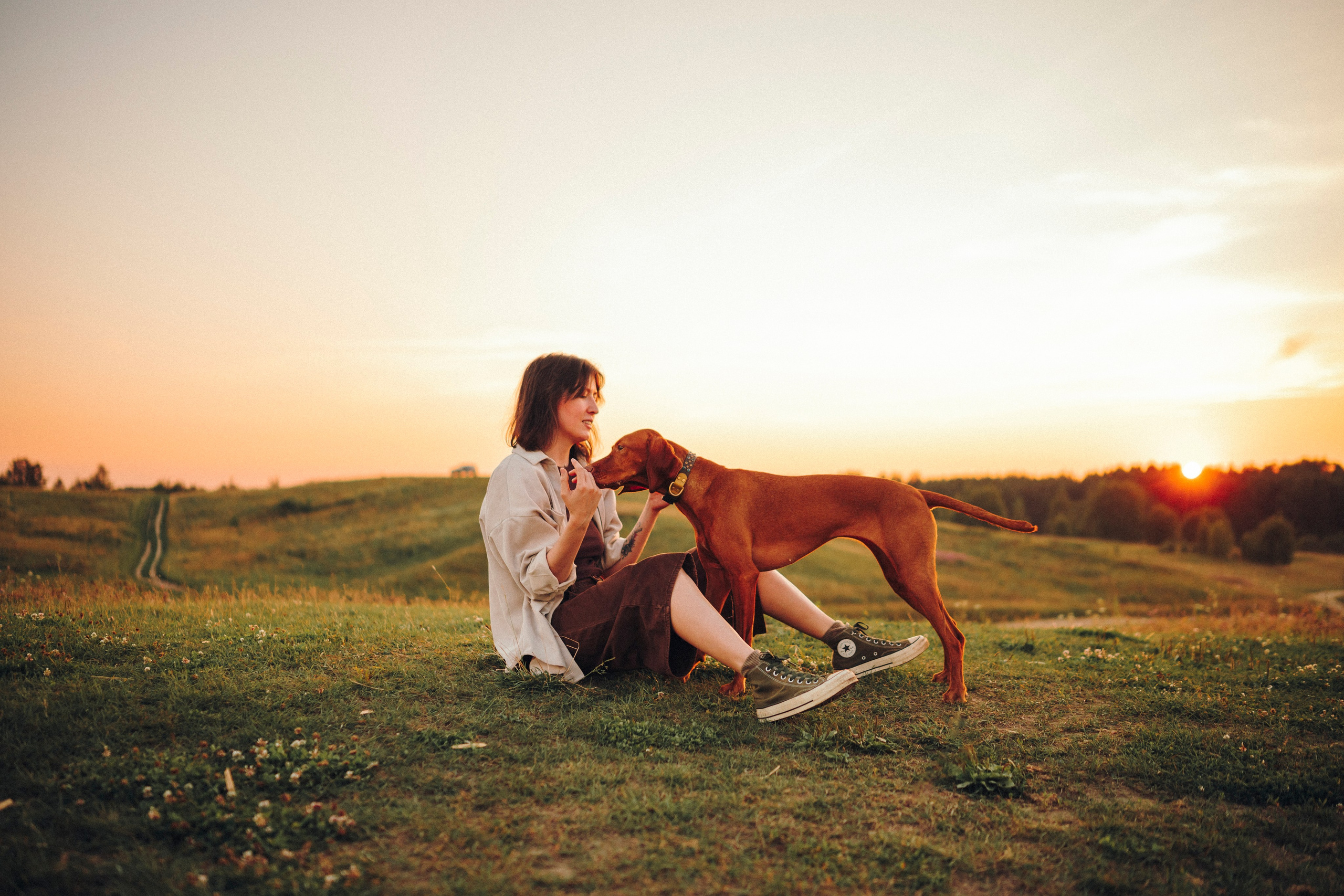 Маша, Трисс и Эста. Семейный фотограф анималист Ананьева Мария — Москва