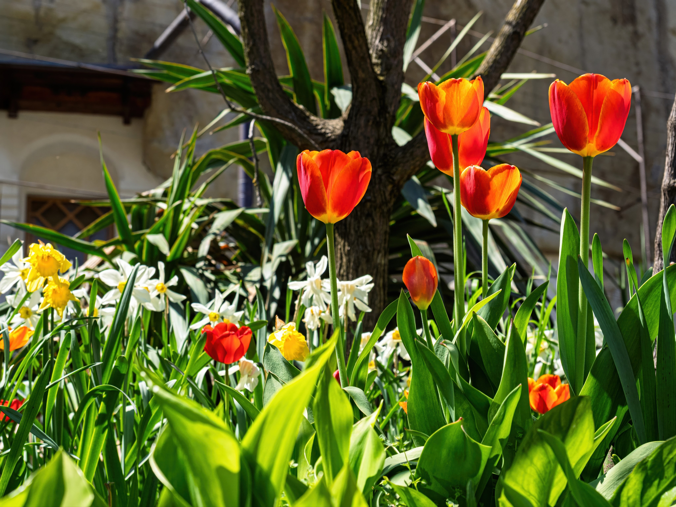 Крым, Утес, 2021 год. Фотограф Никифоров-Гордеев Сергей. Москва и МО