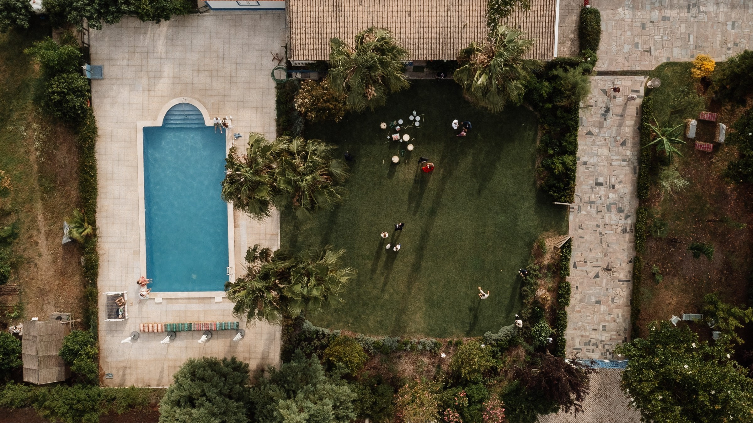 PLANT A TREE. Wedding photographer in Europe