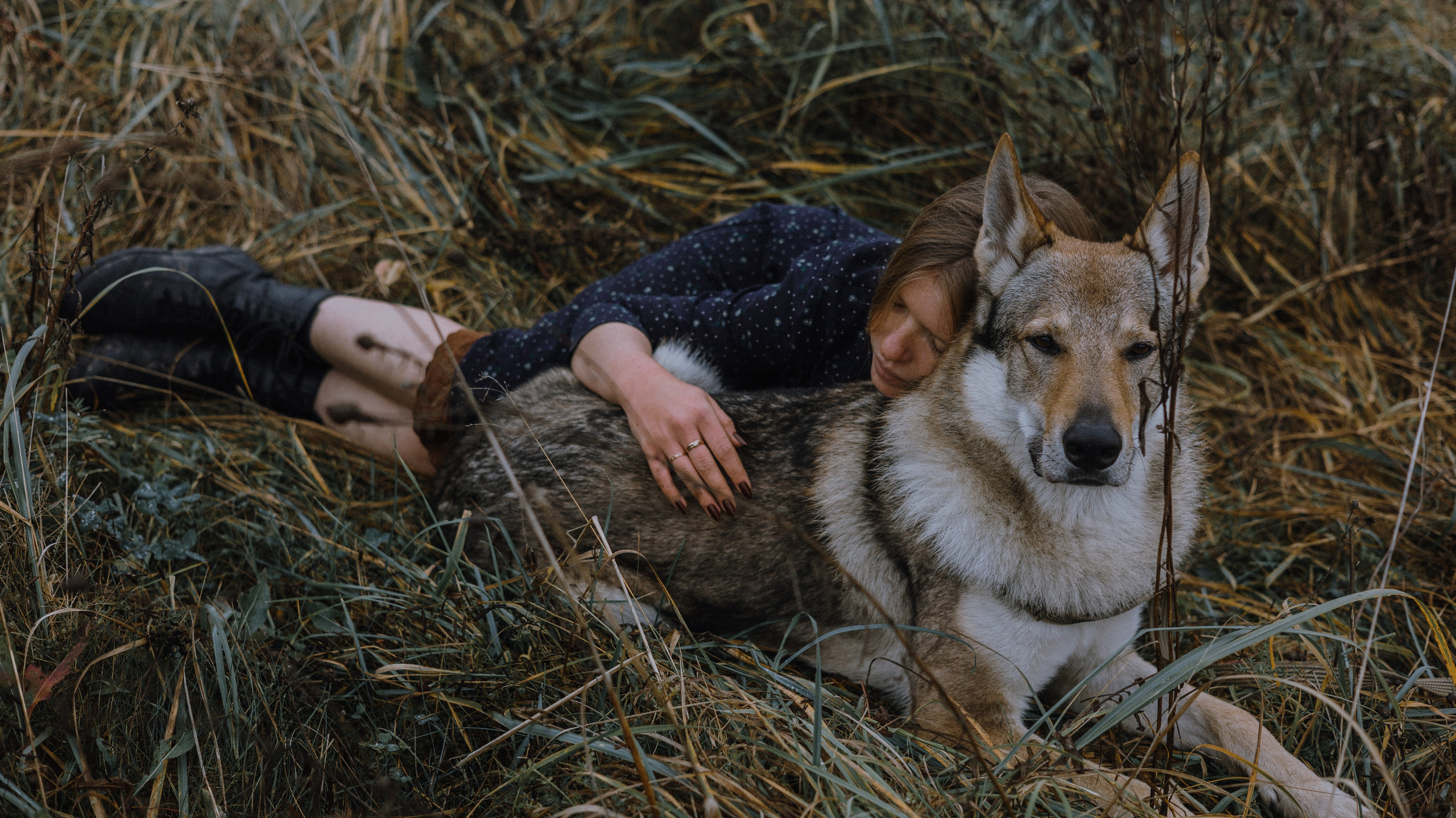 Полина и Вегард. Фотограф-анималист Богданова Полина