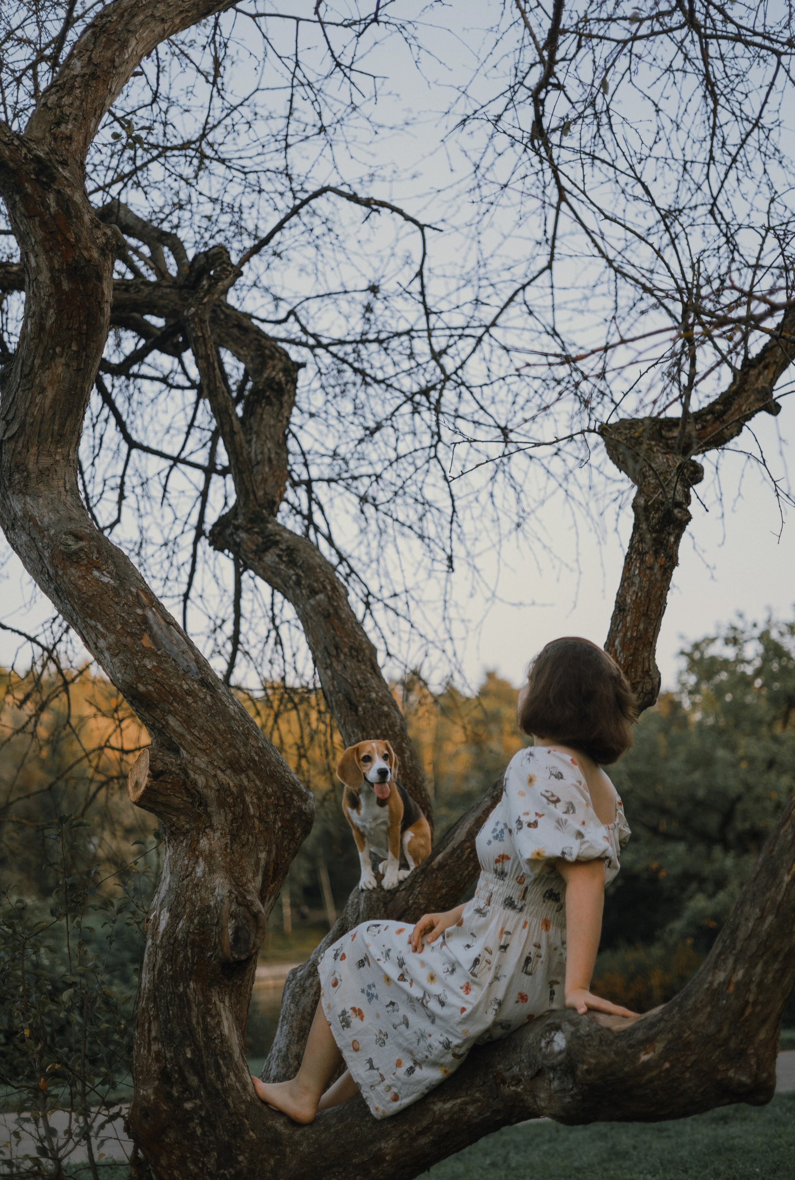 Лиза и Сара. Фотограф-анималист Богданова Полина