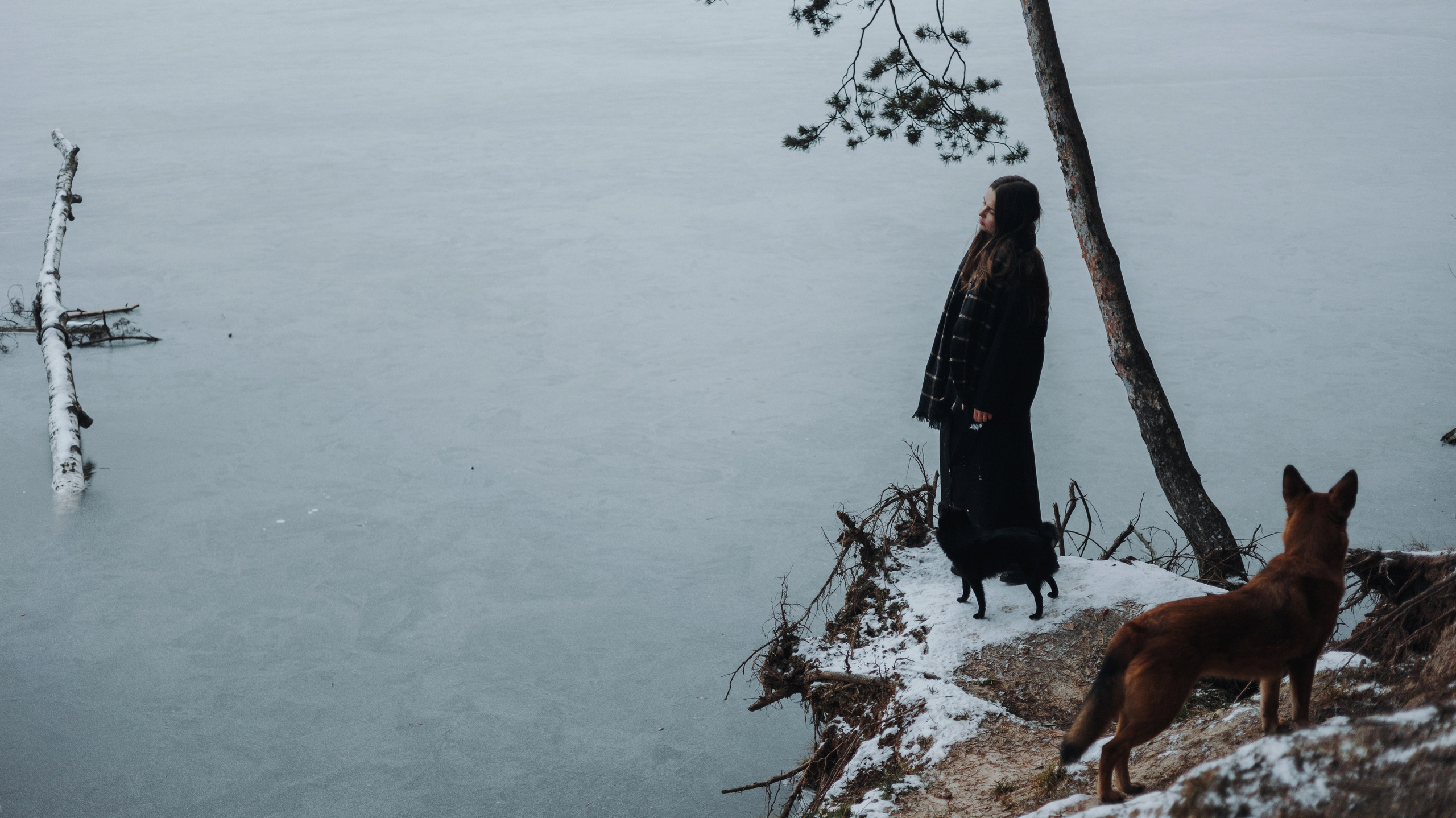 Юля, Лара и Йоми. Фотограф-анималист Богданова Полина