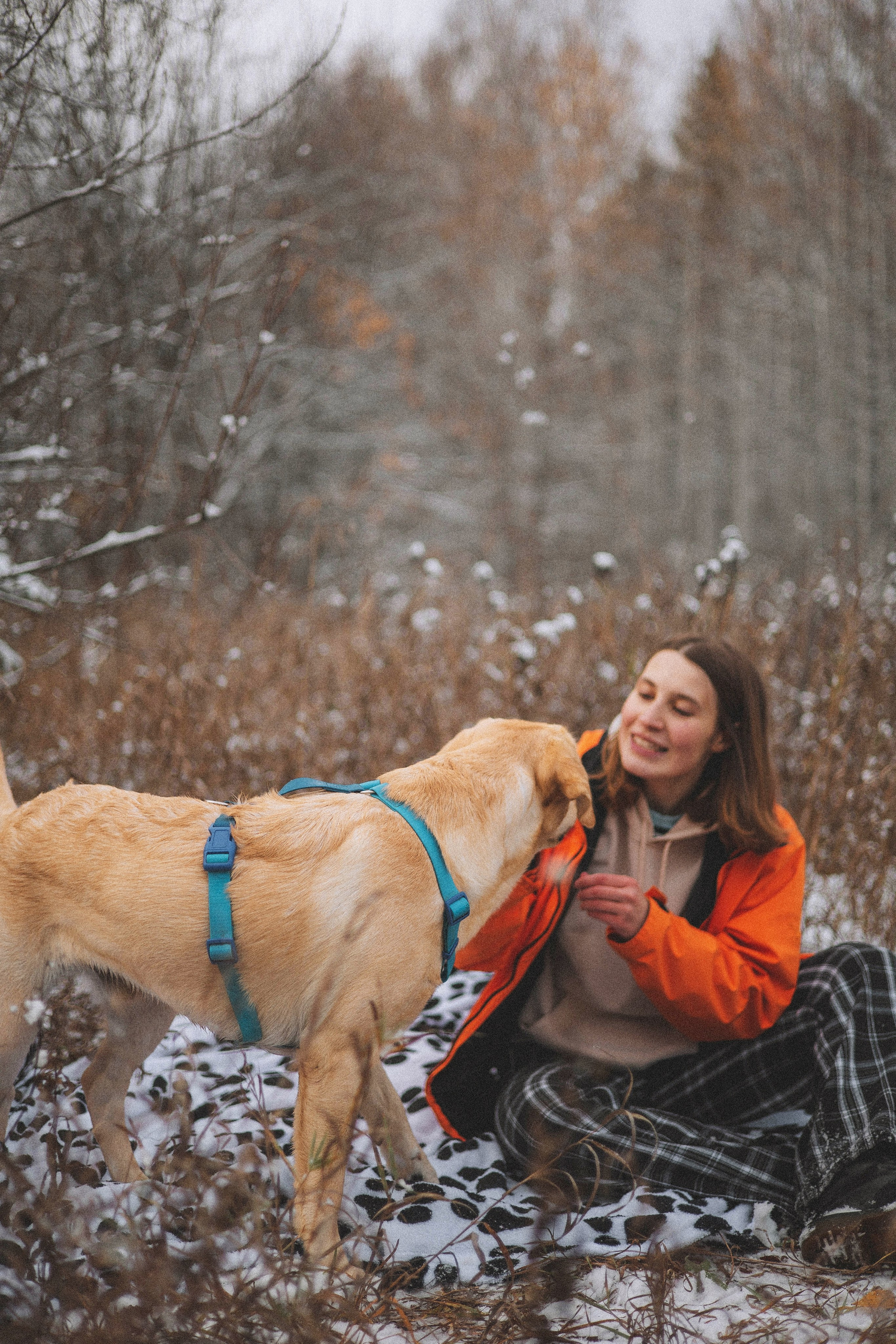 Маргарита и Варди. Фотограф-анималист Богданова Полина