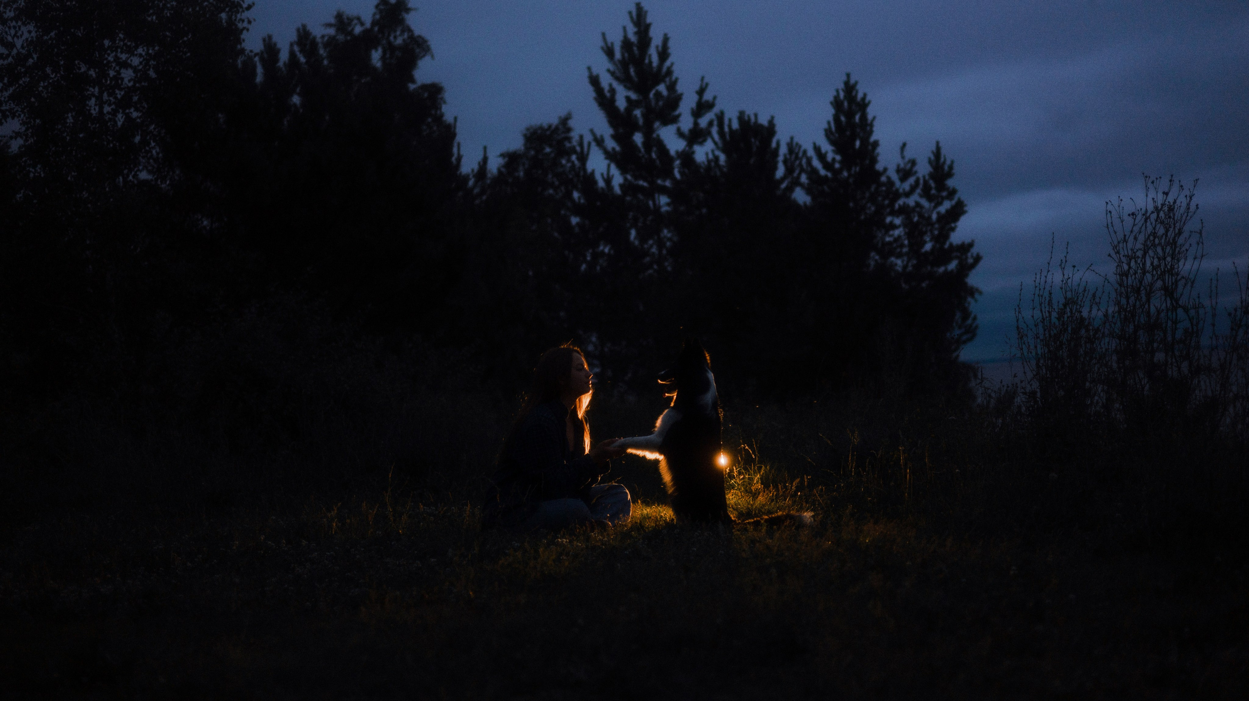 Аделя, Вандер, Шайна и Бая. Фотограф-анималист Богданова Полина