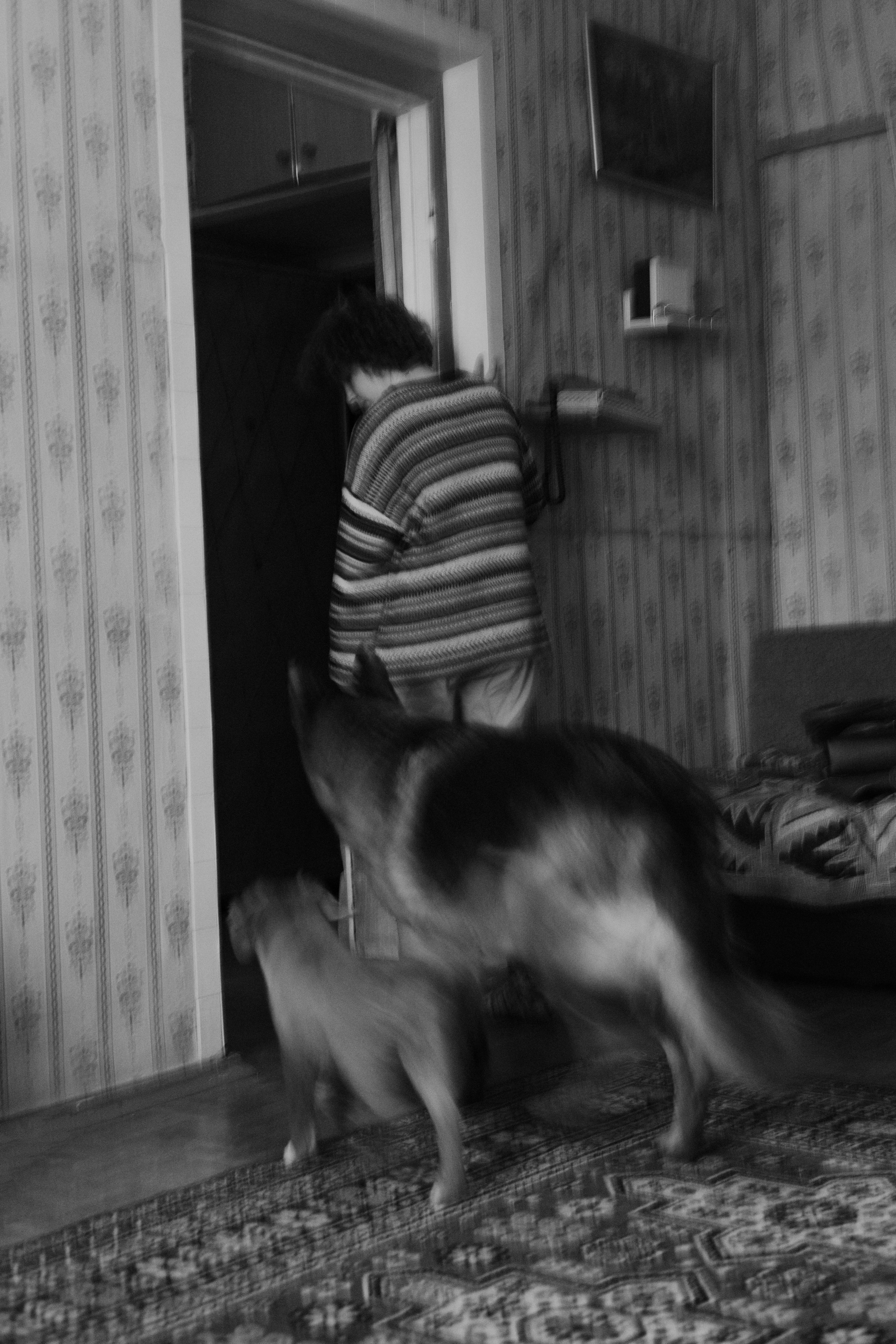 Лера, Реджи и Ральф. Фотограф-анималист Богданова Полина