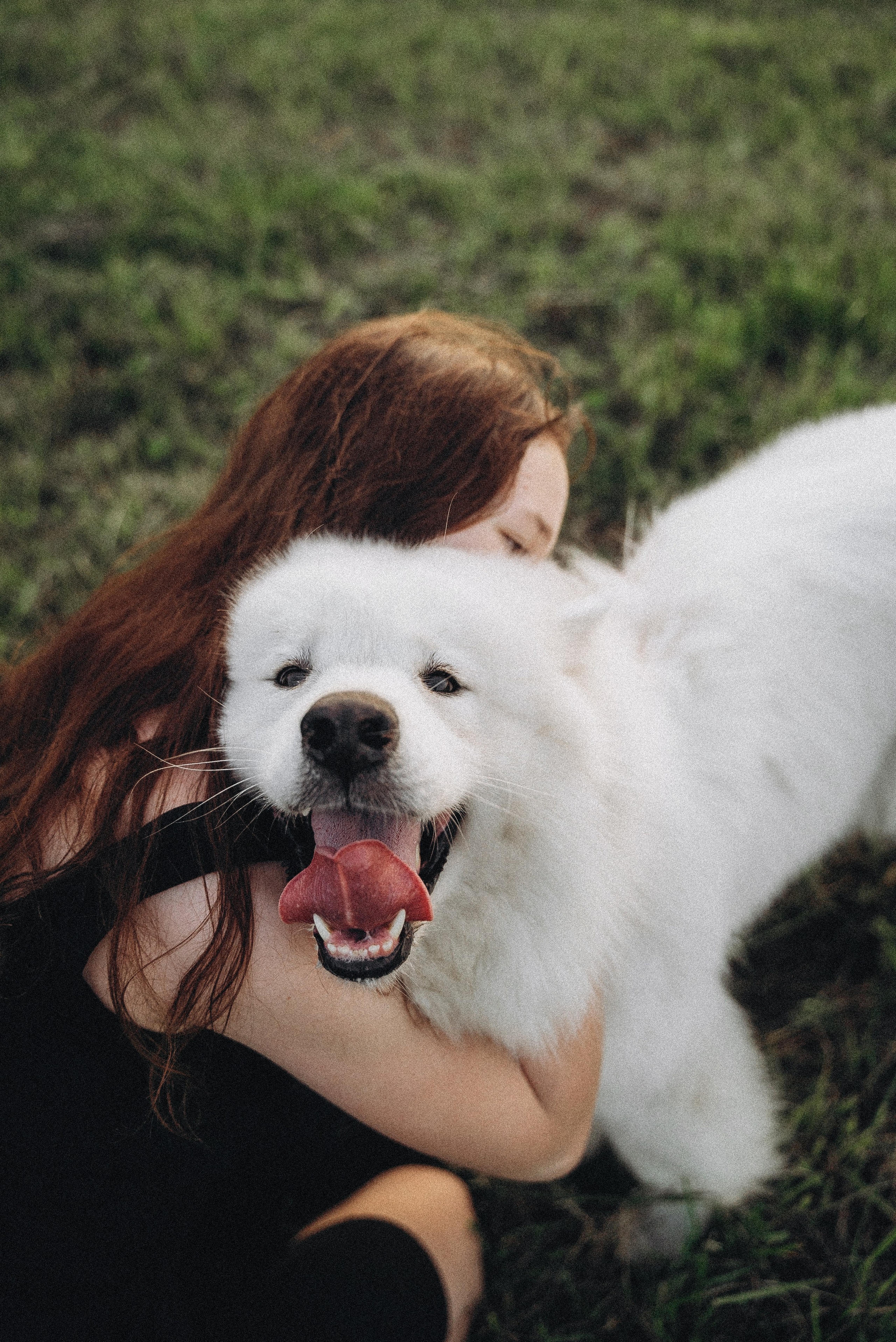 Алёна и Челси. Фотограф-анималист Богданова Полина