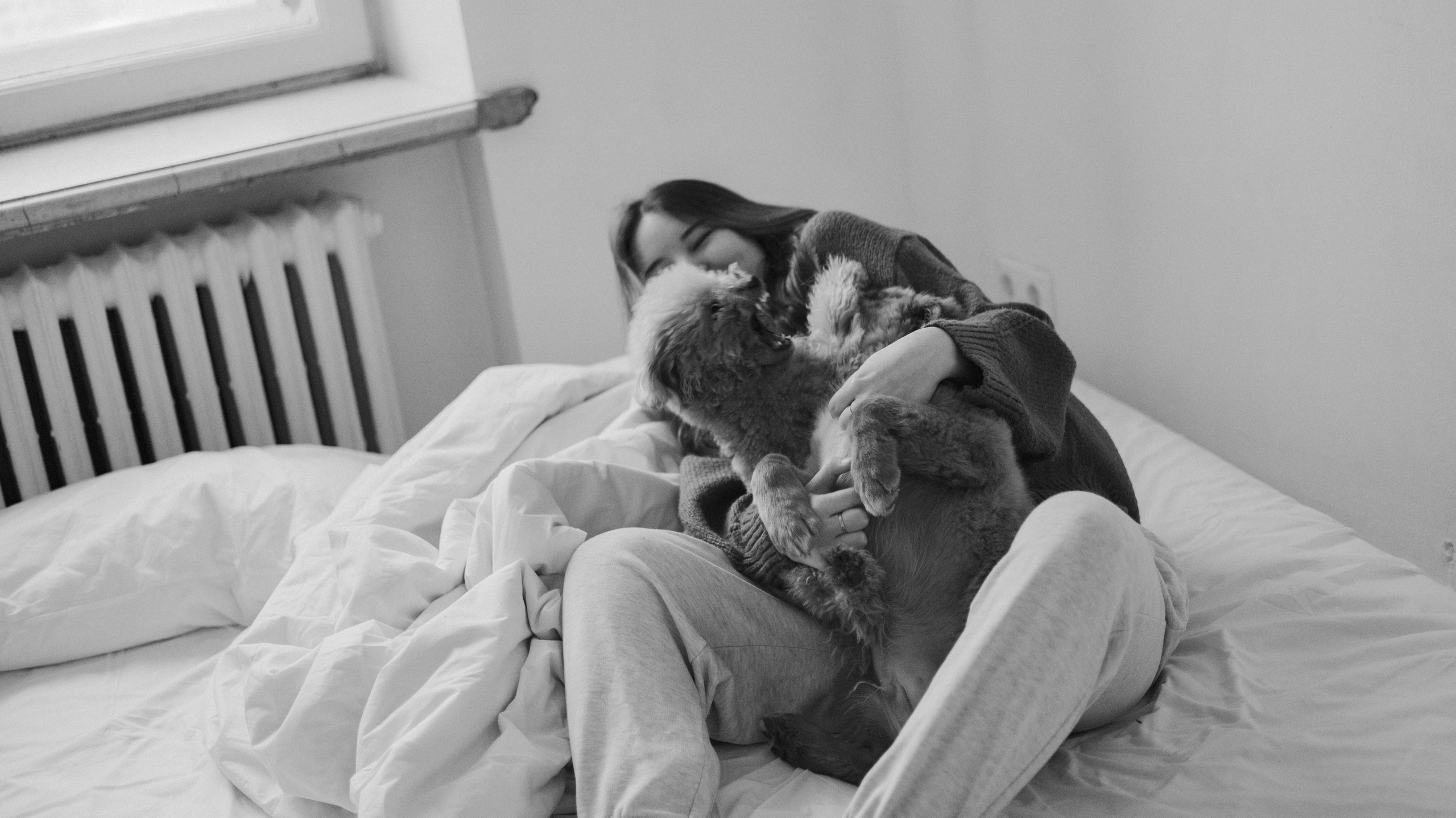 Маша, Одди и Нэвил. Фотограф-анималист Богданова Полина