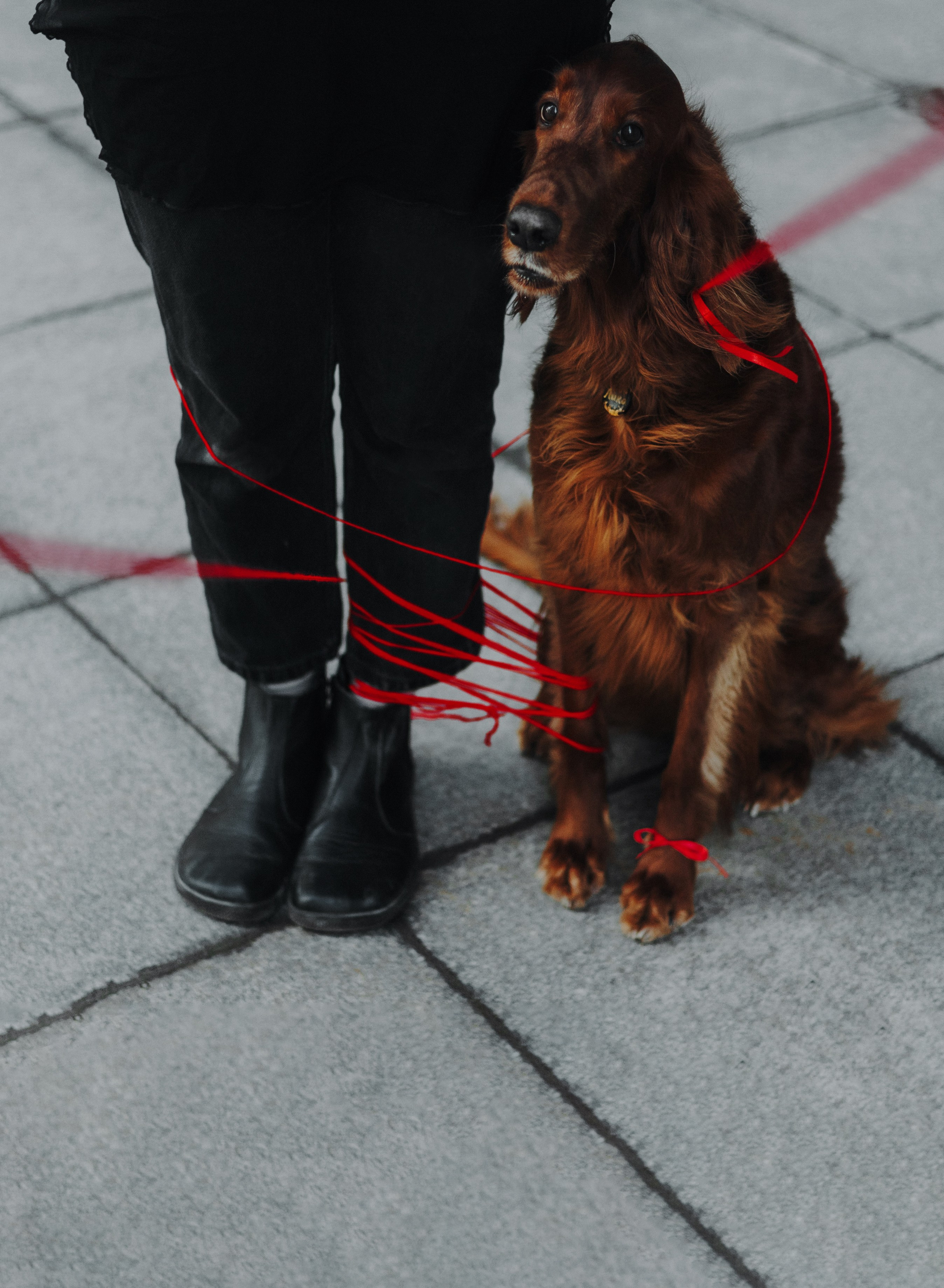 Маша и Лика. Фотограф-анималист Богданова Полина