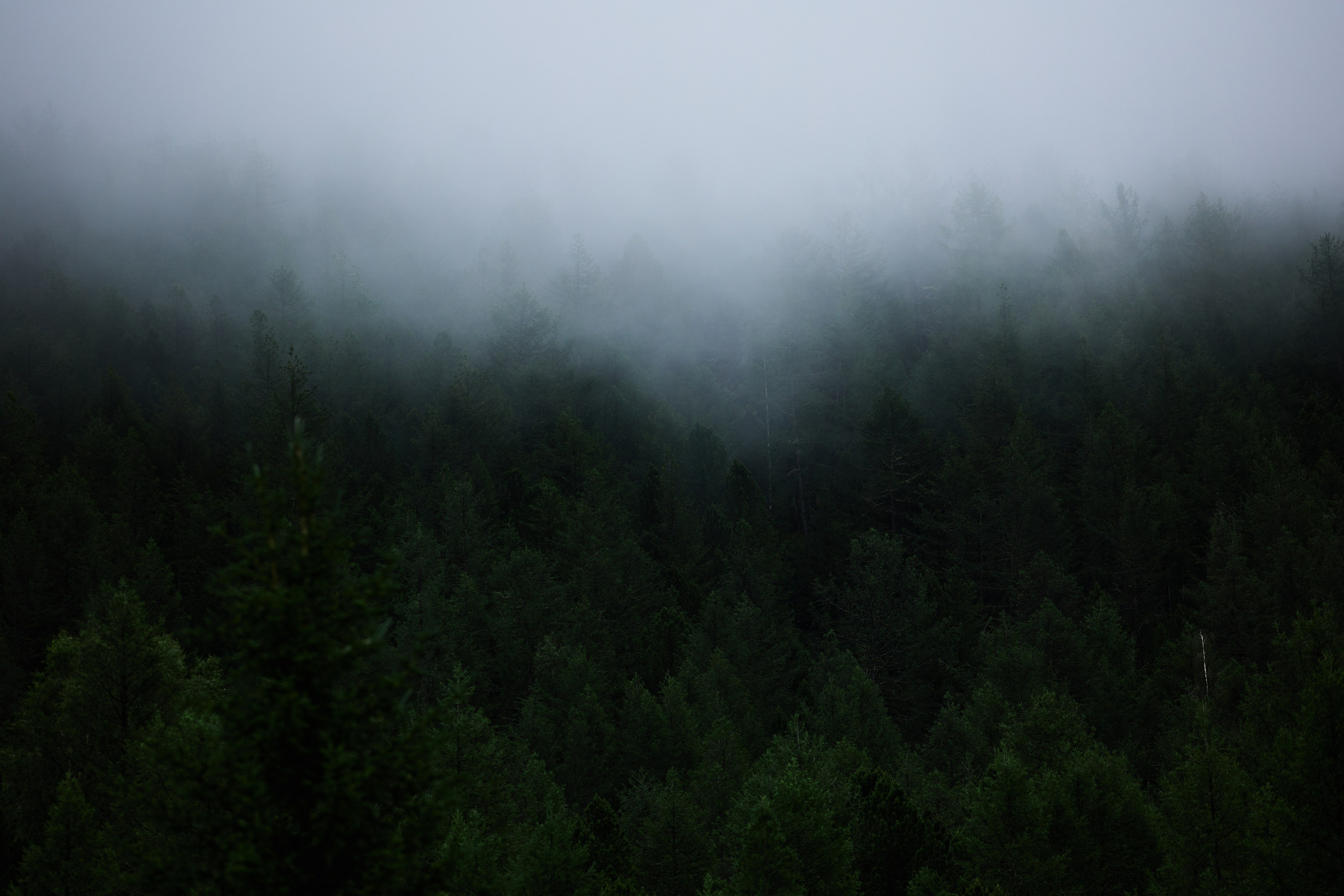 Алтай. Хороший репортажный и промышленный фотограф в Казани Алексей Щелконогов