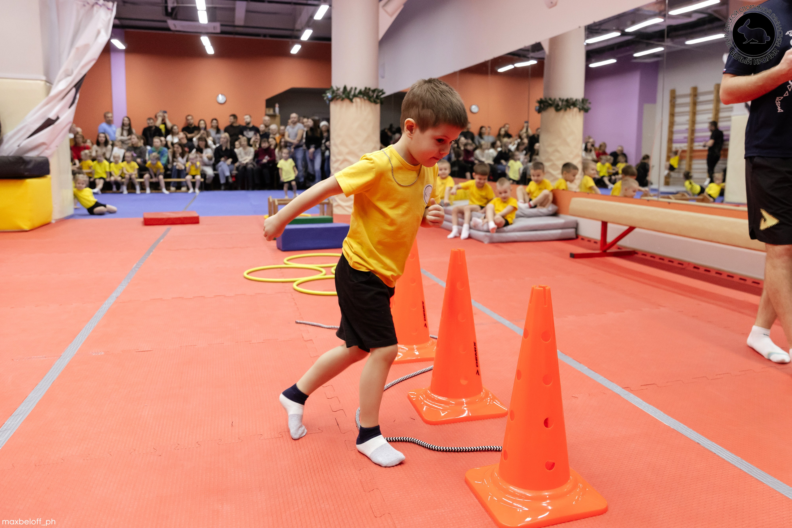 Белый кролик. Соревнования. Семейный фотограф — Макс Белогрудов