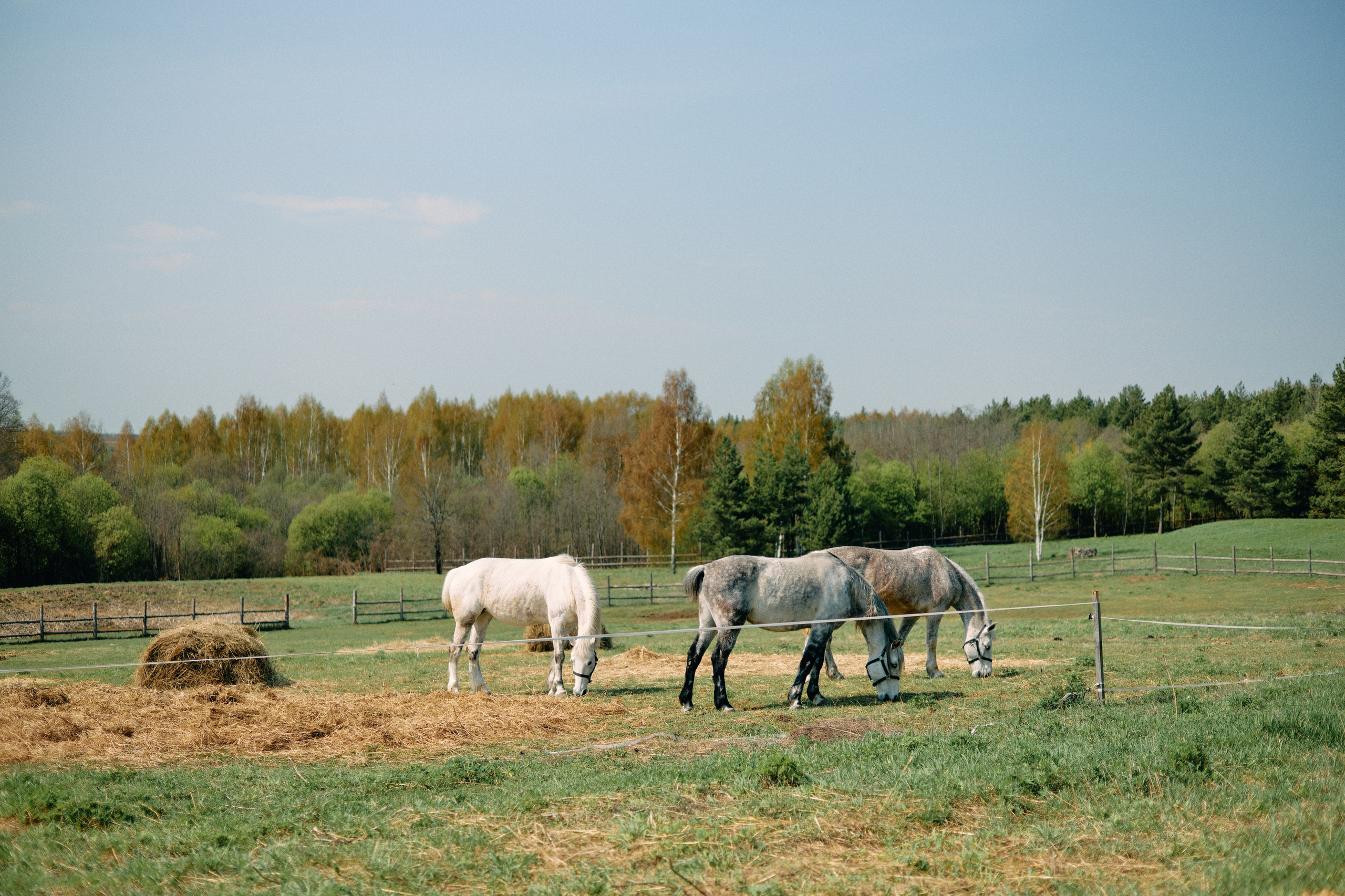 Бутик-отель Поле летом. Профессиональный Фотограф во Владимире, в Москве и в Суздале — Полина Романычева