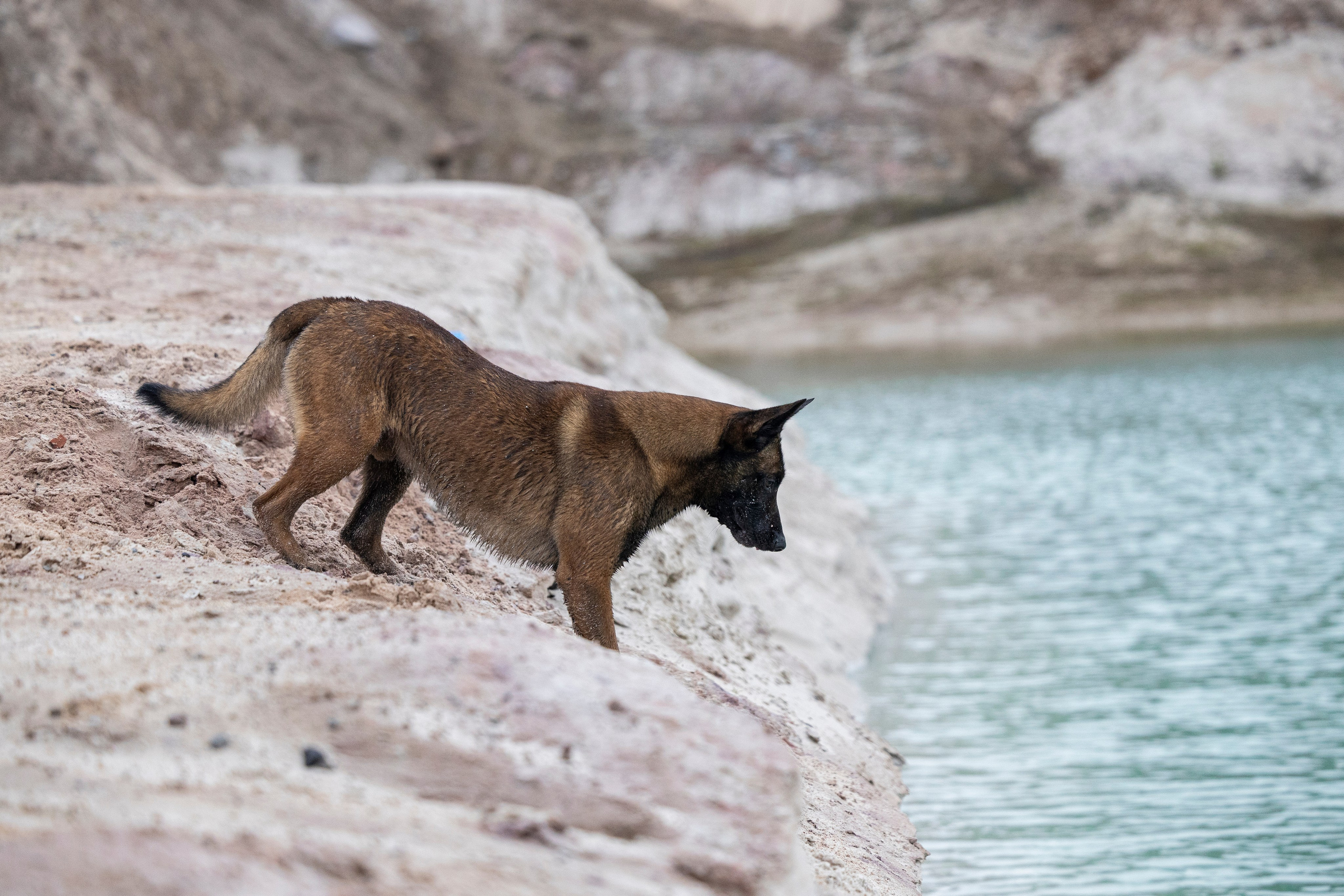 Лужские Мальдивы. Фотограф-анималист Анна Маринич