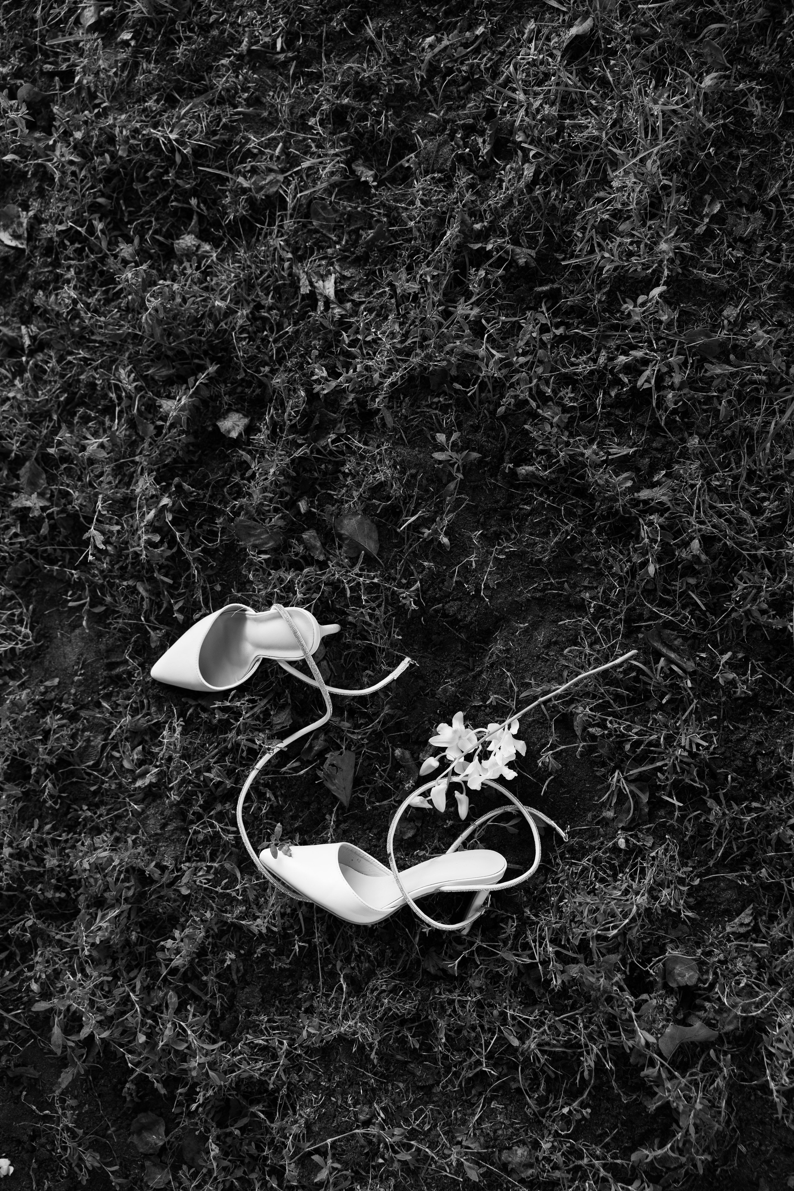 Артур и Таисия. Свадебный фотограф Тула Москва СПБ / Сёмина Дарья