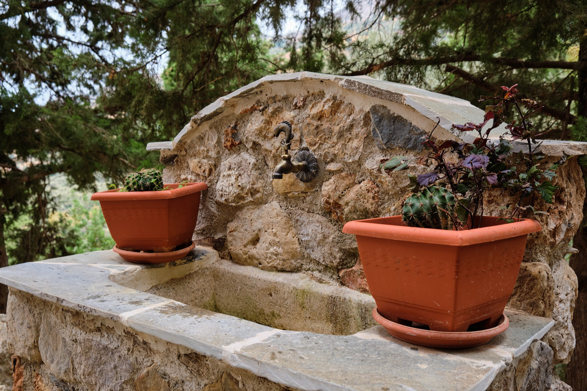 Крит 2019. Репортажный фотограф Дмитрий Литвинский. Минск, Беларусь, мир