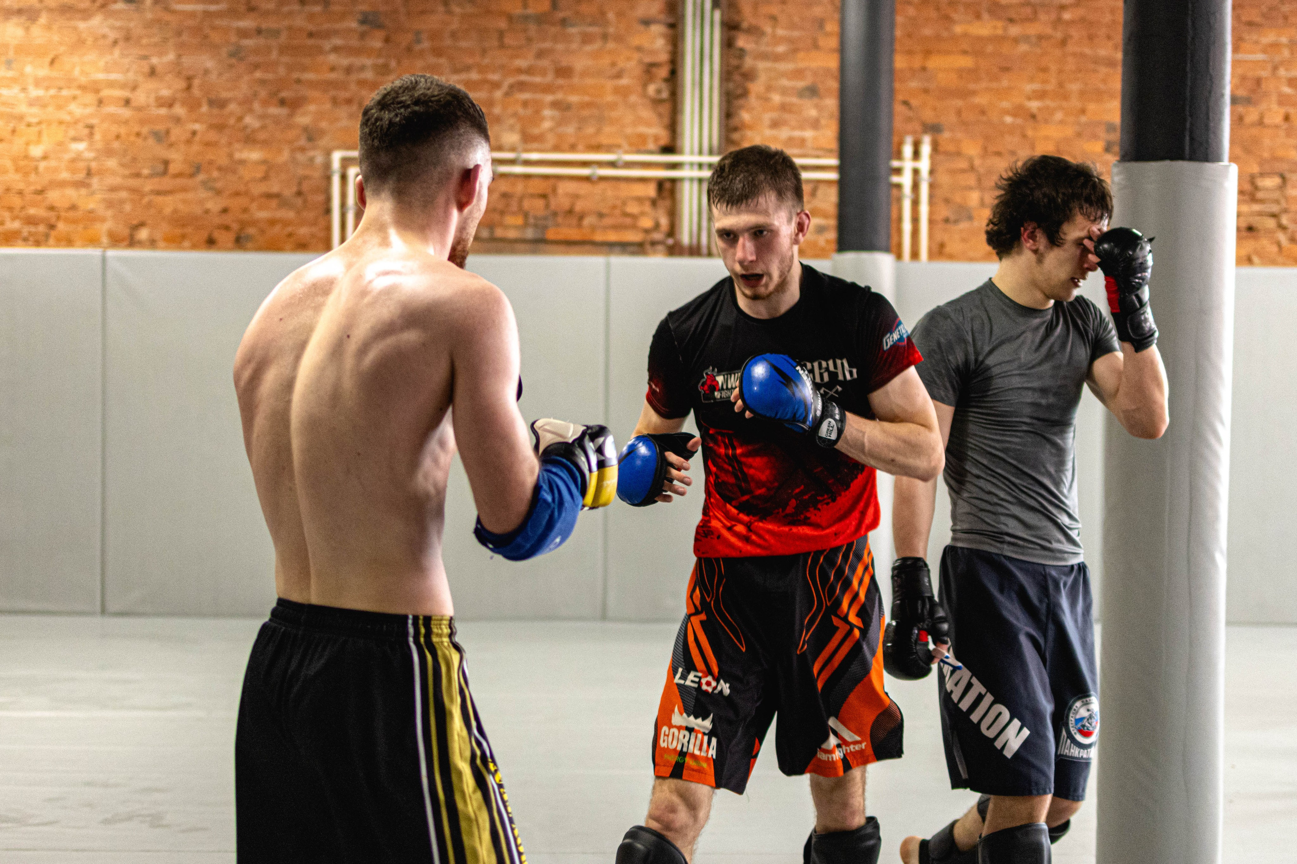 Бокс. Калачёв Тимофей Спортивный фотограф в Санкт-Петербурге