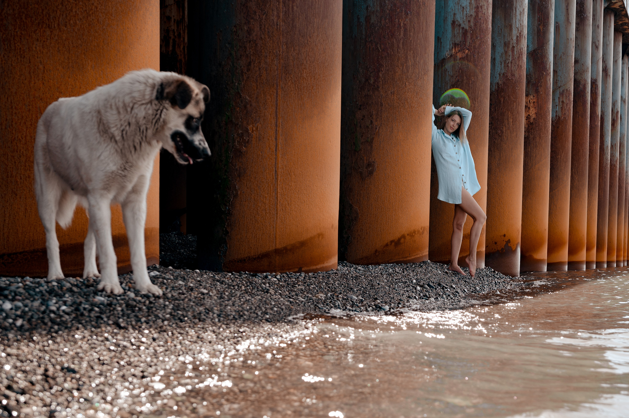 Сочифорния. Свадебный и семейный фотограф София Невская