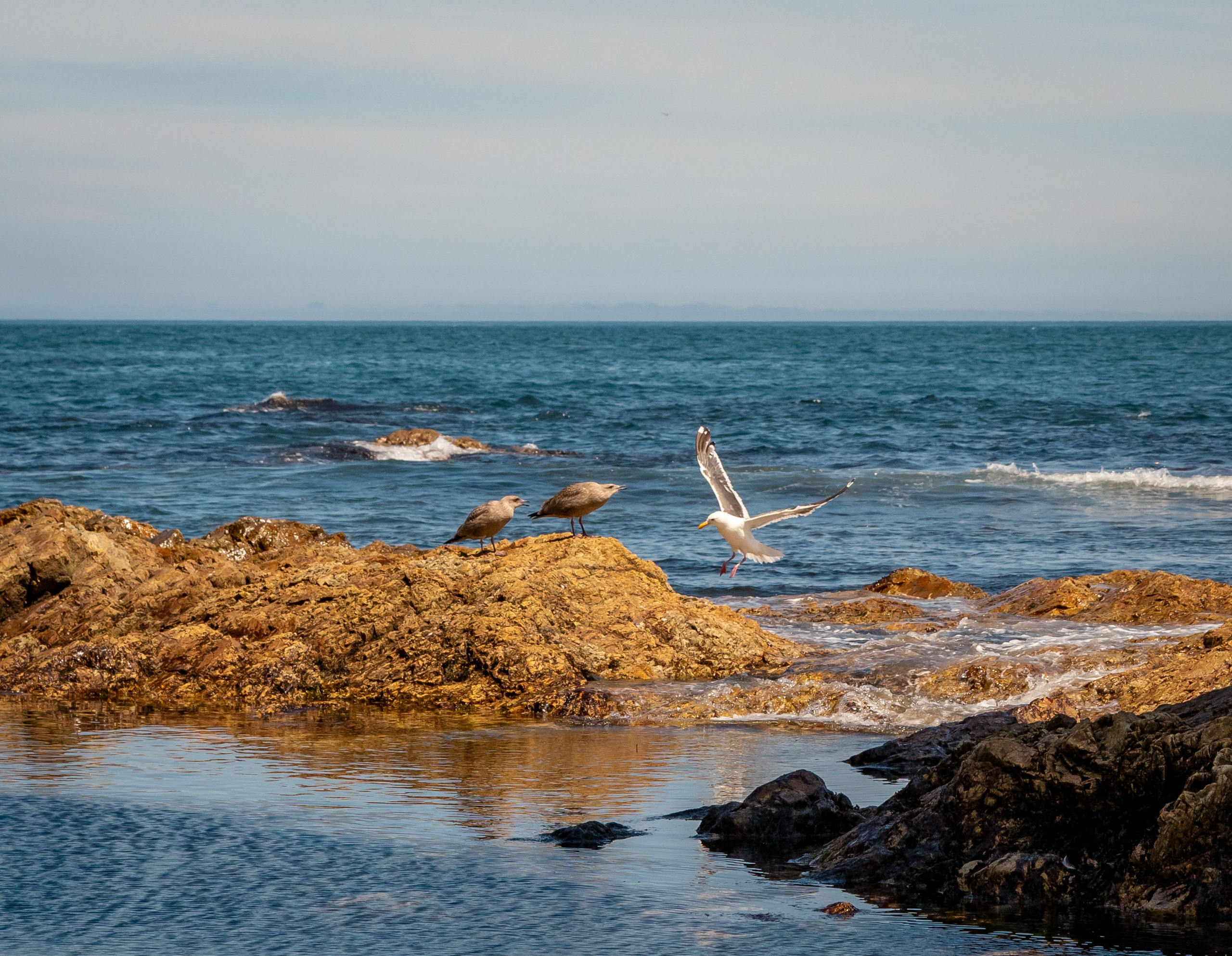 Сахалин. Семейный фотограф Варвара Сорока в городе Москве