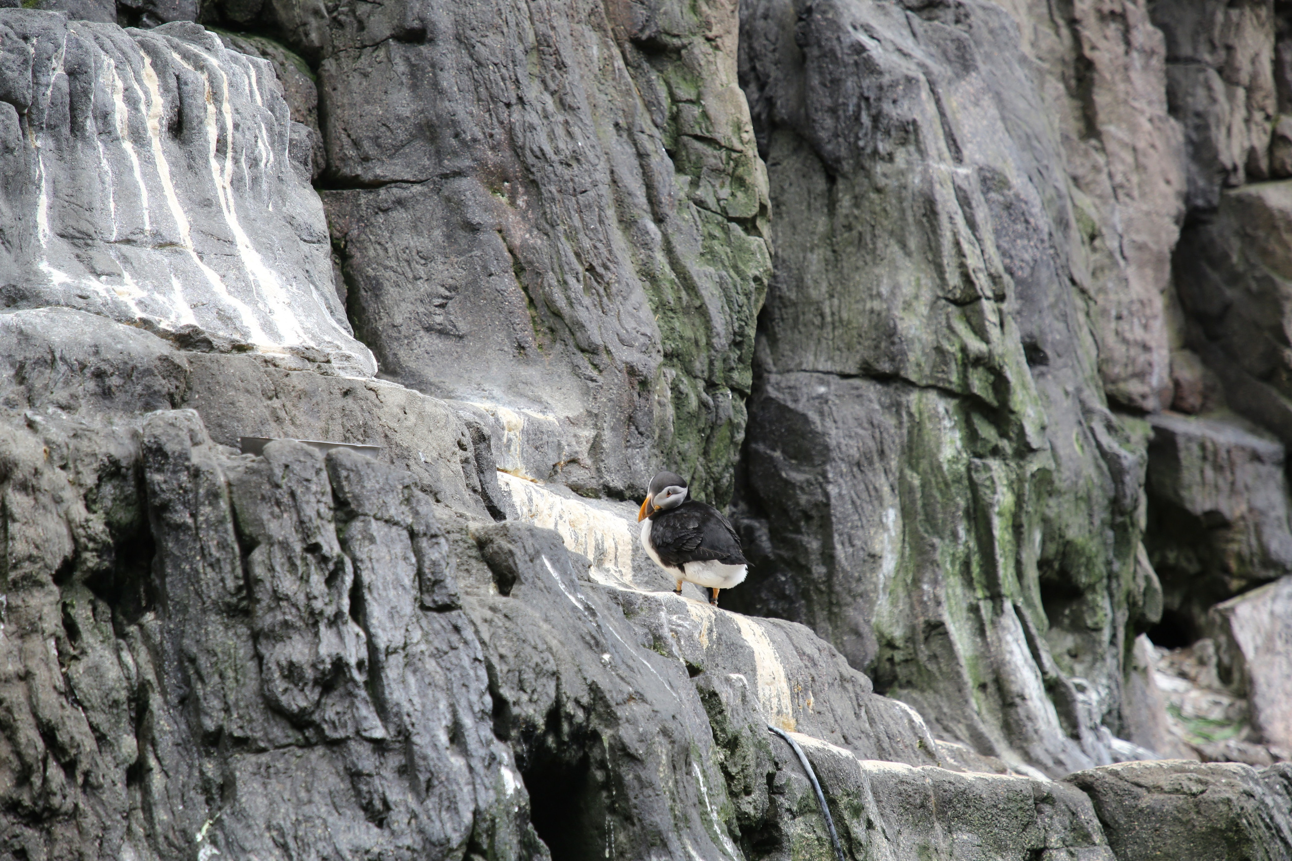 Lisbon, Portugal. Andrey Filippov Photographer