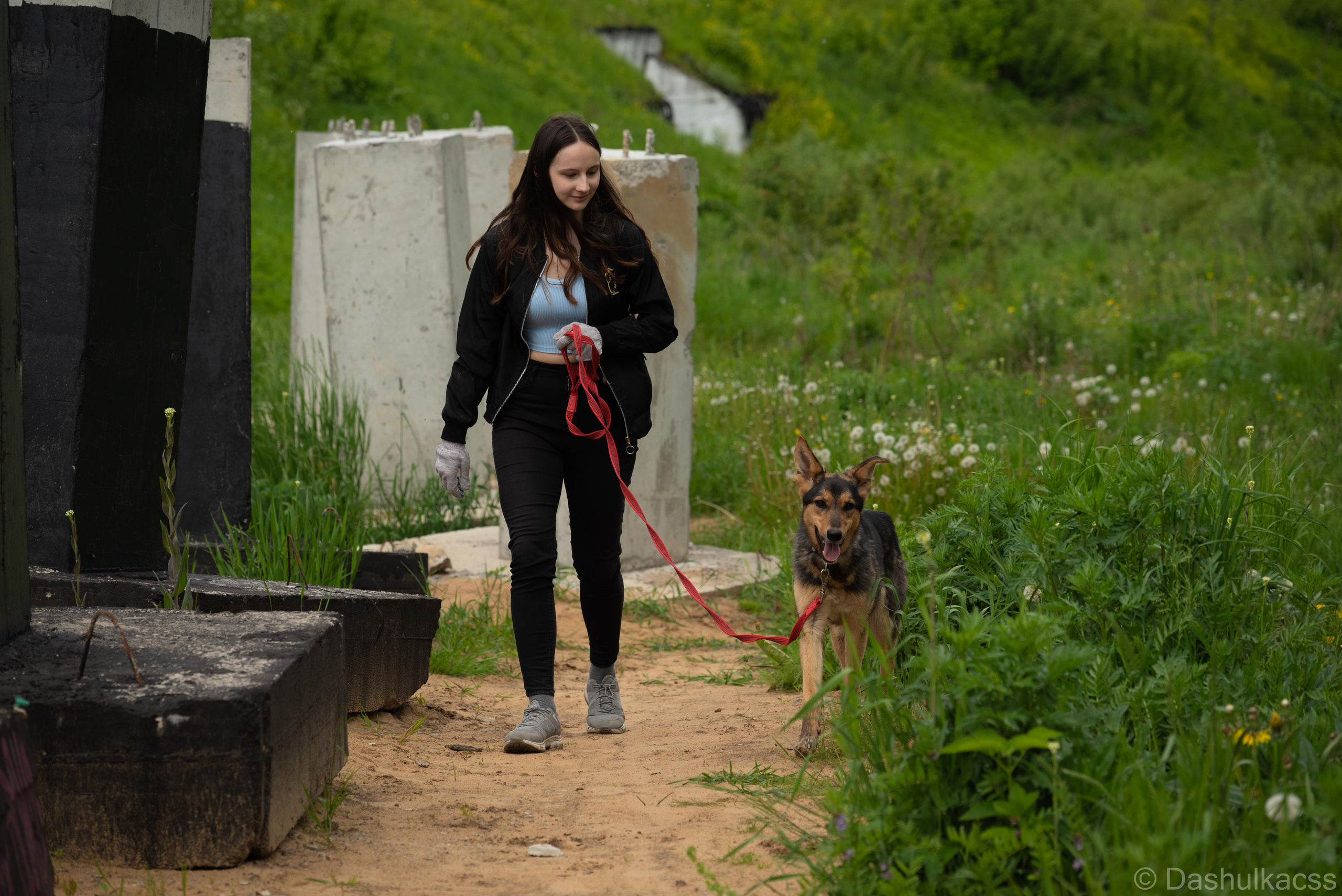 Выезд в приют. Фотограф Дарья Сафонова Dashulkacss
