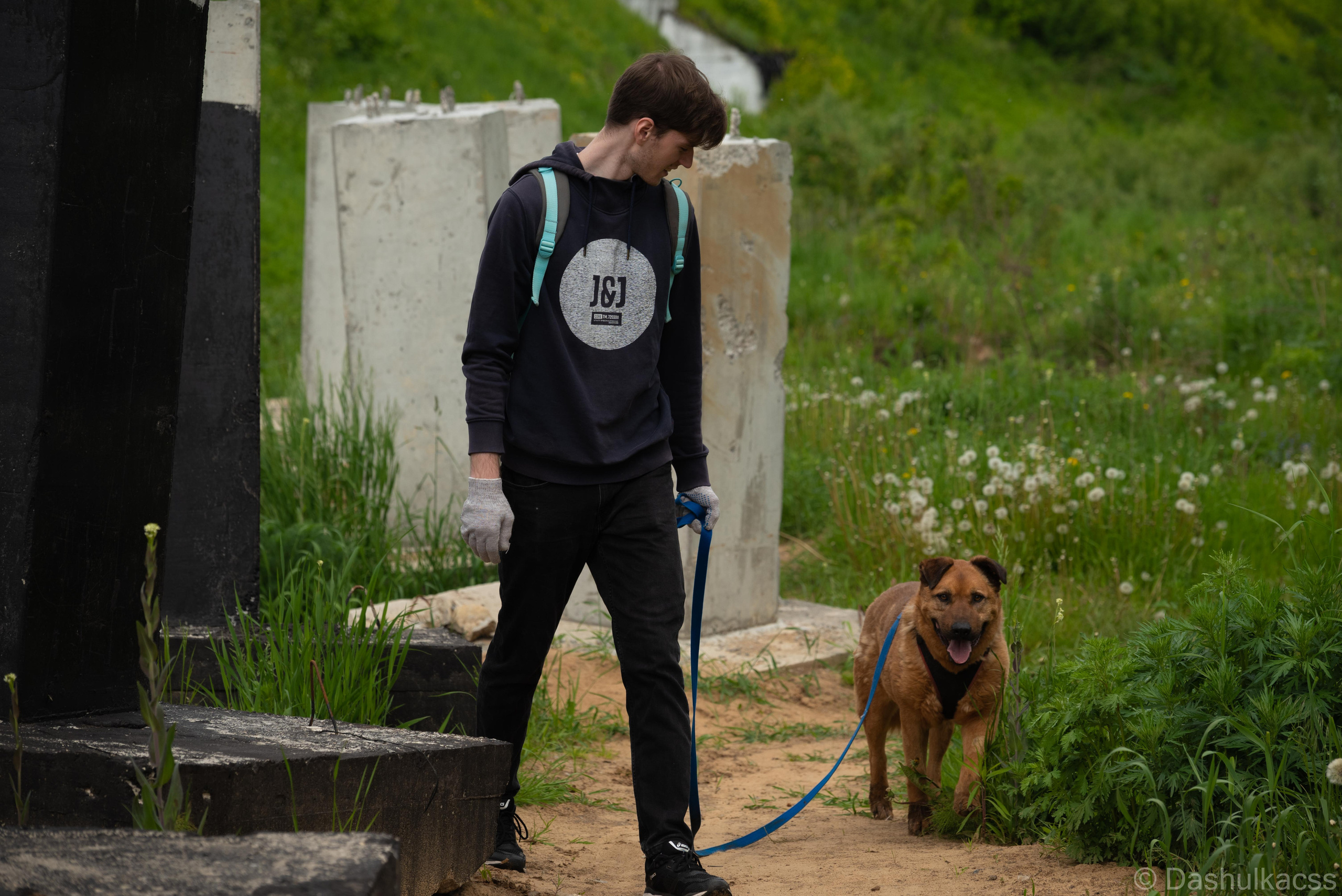 Выезд в приют. Фотограф Дарья Сафонова Dashulkacss