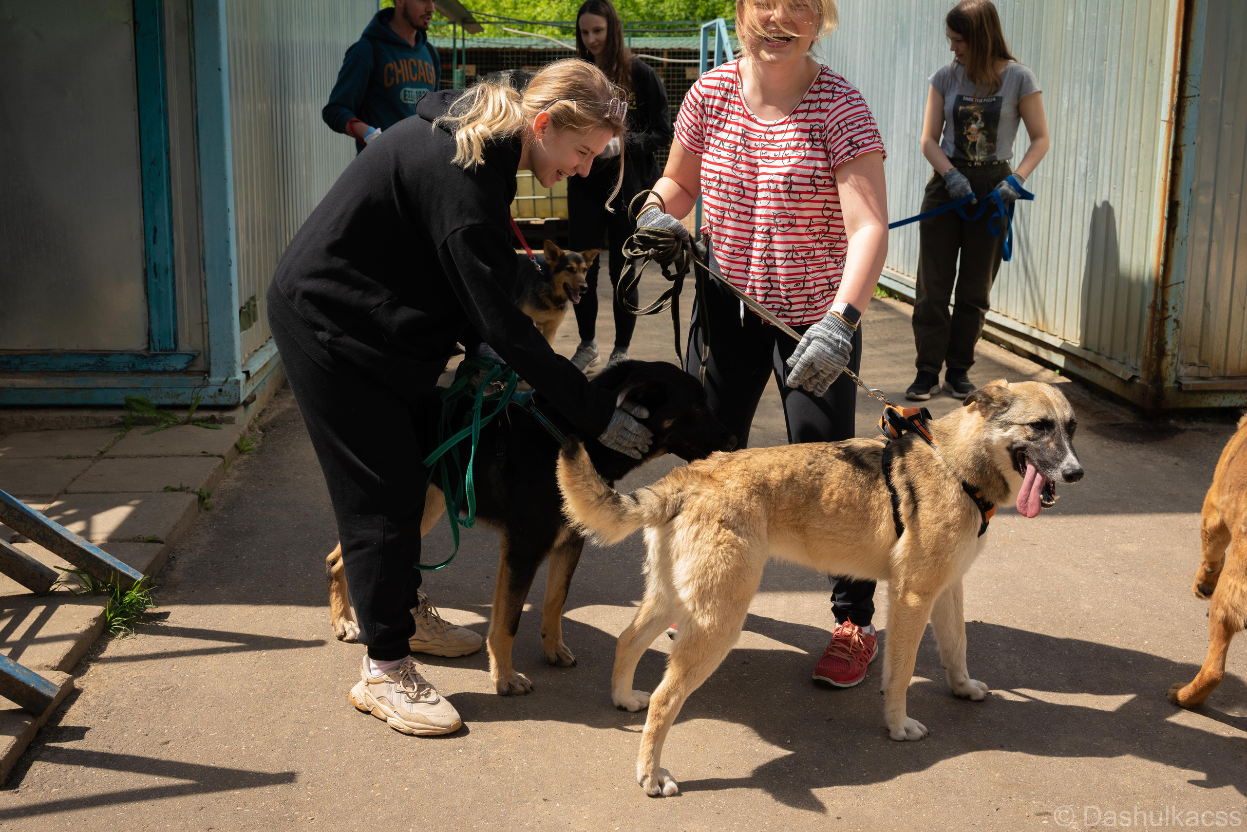 Выезд в приют. Фотограф Дарья Сафонова Dashulkacss