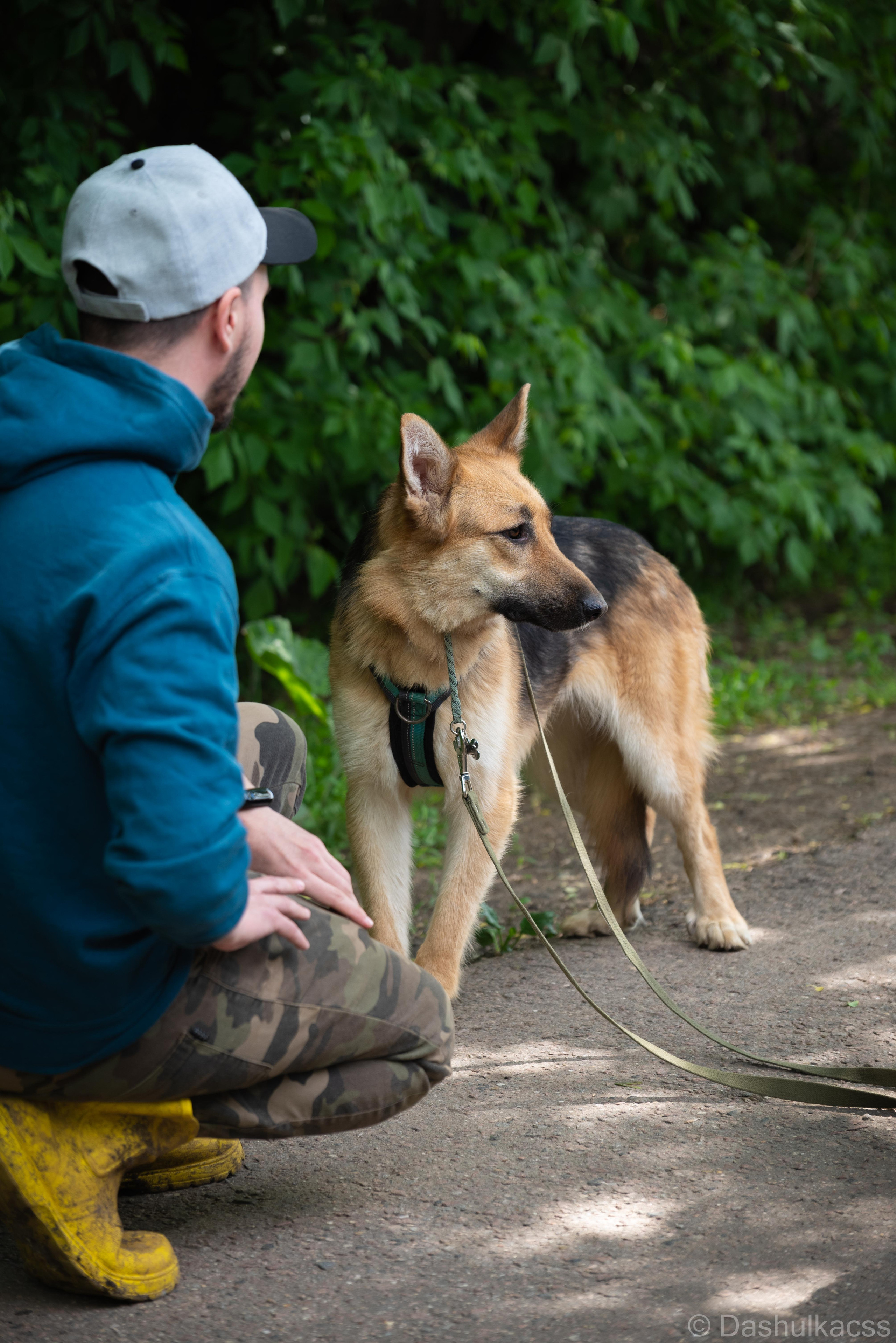 Выезд в приют. Фотограф Дарья Сафонова Dashulkacss