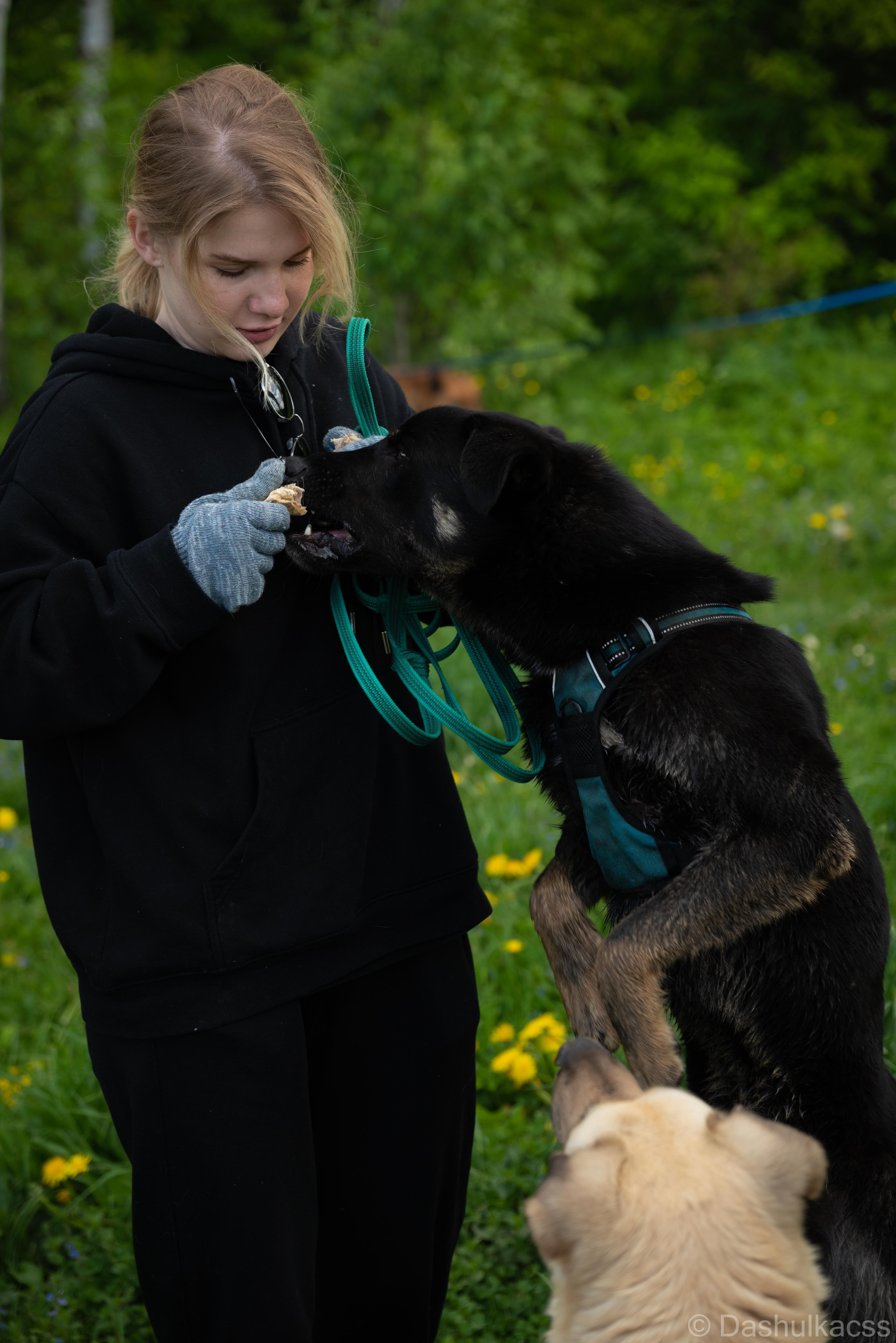 Выезд в приют. Фотограф Дарья Сафонова Dashulkacss
