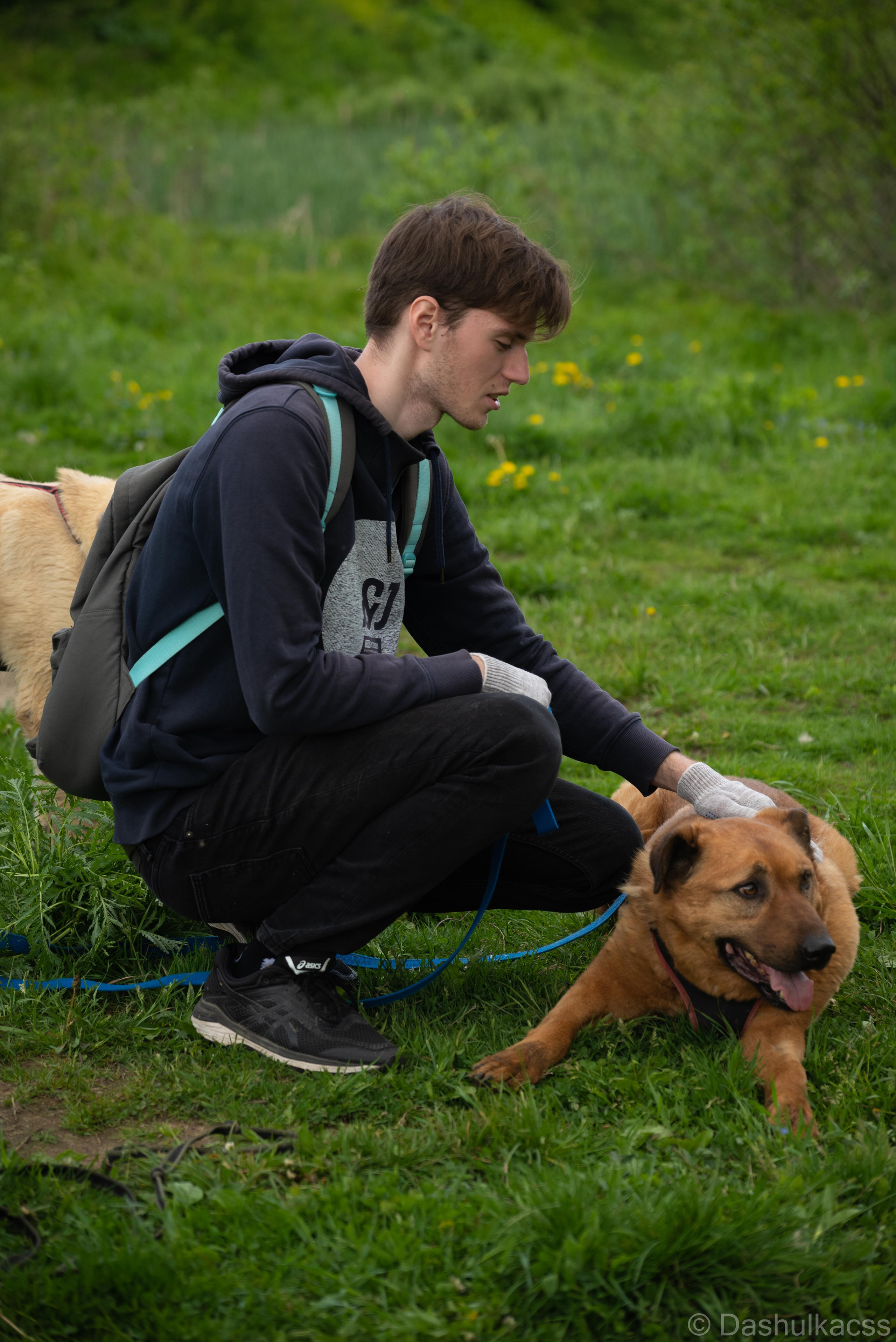 Выезд в приют. Фотограф Дарья Сафонова Dashulkacss