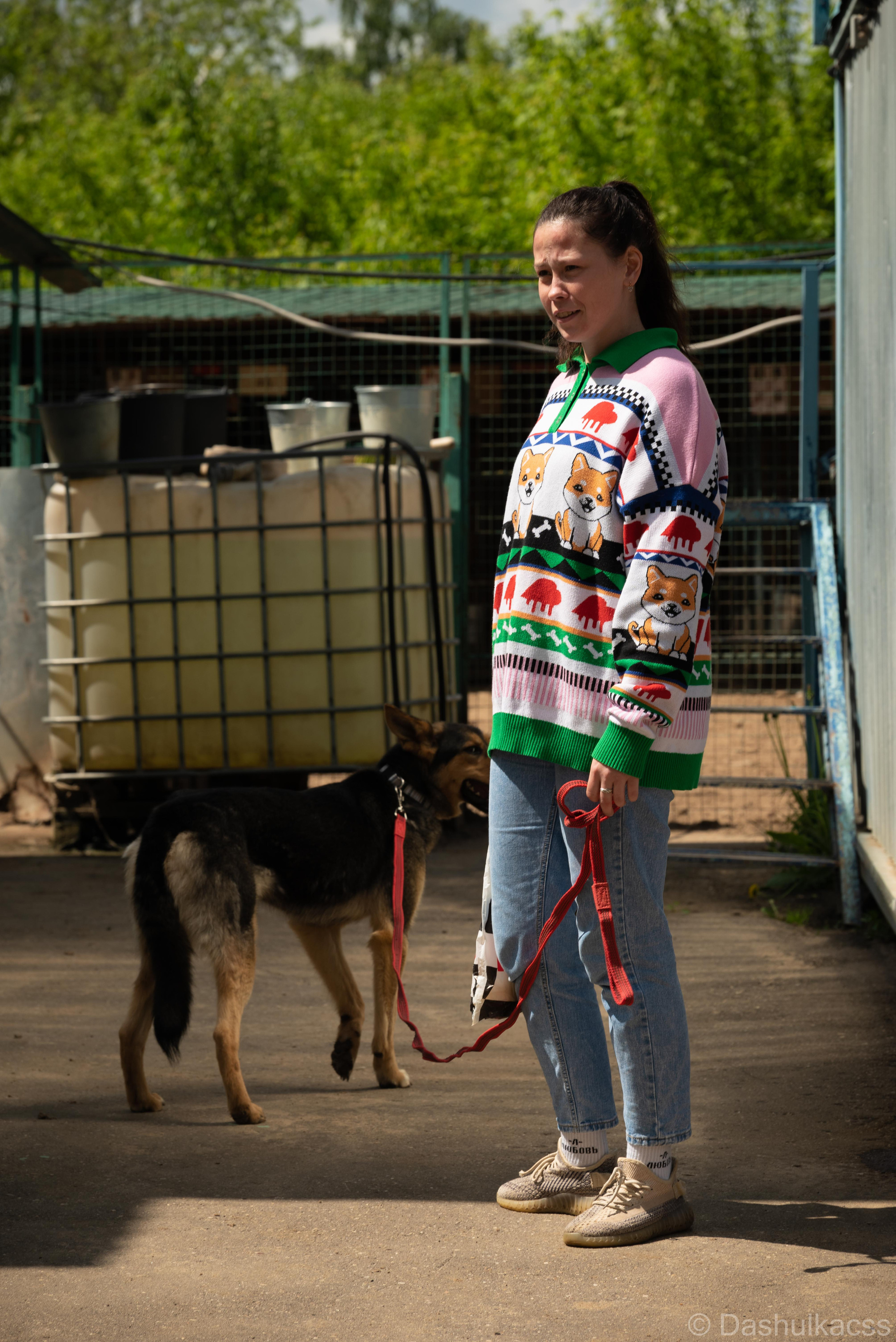 Выезд в приют. Фотограф Дарья Сафонова Dashulkacss