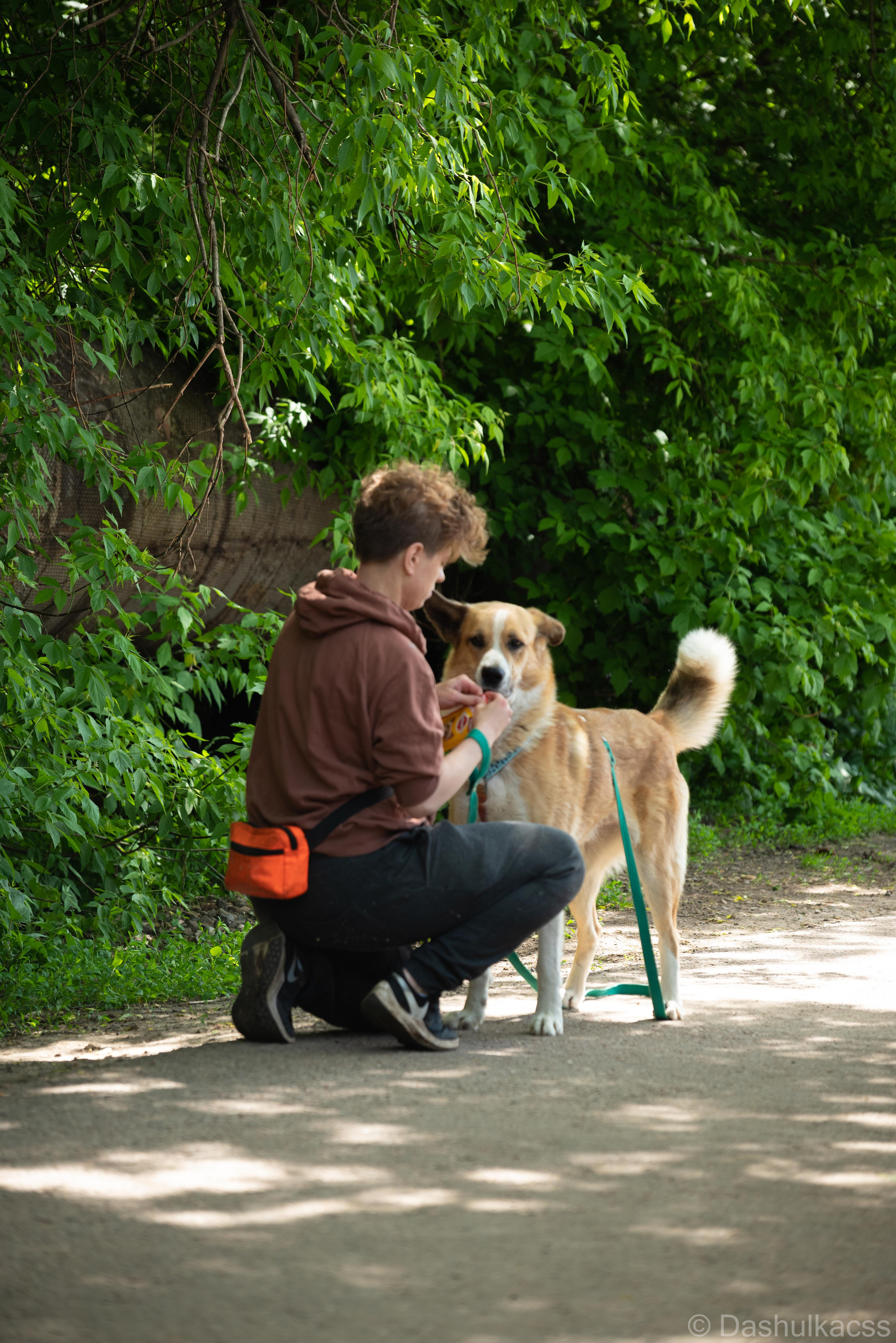 Выезд в приют. Фотограф Дарья Сафонова Dashulkacss