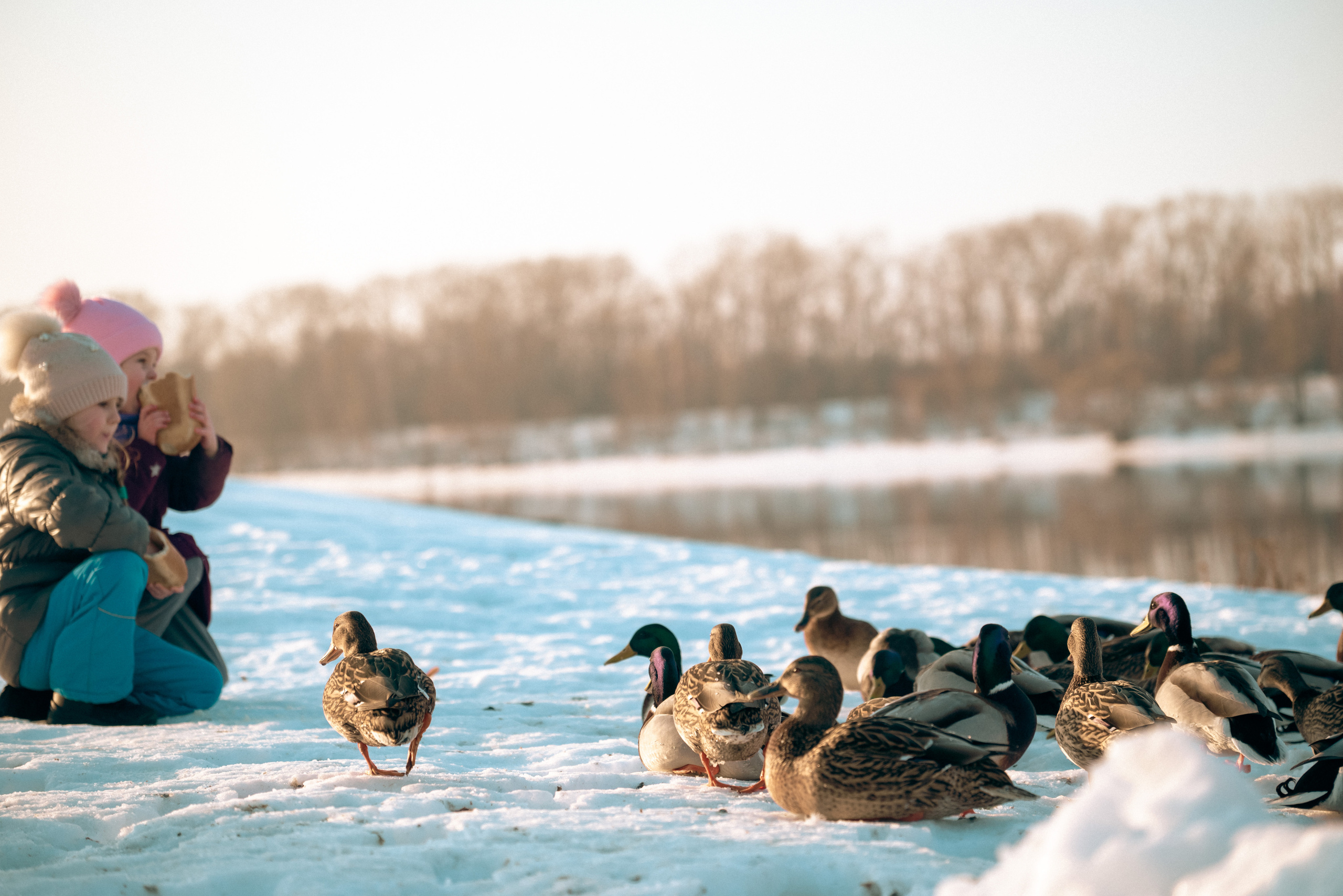 Углич и Калязин. Фотограф Дарья Сафонова Dashulkacss