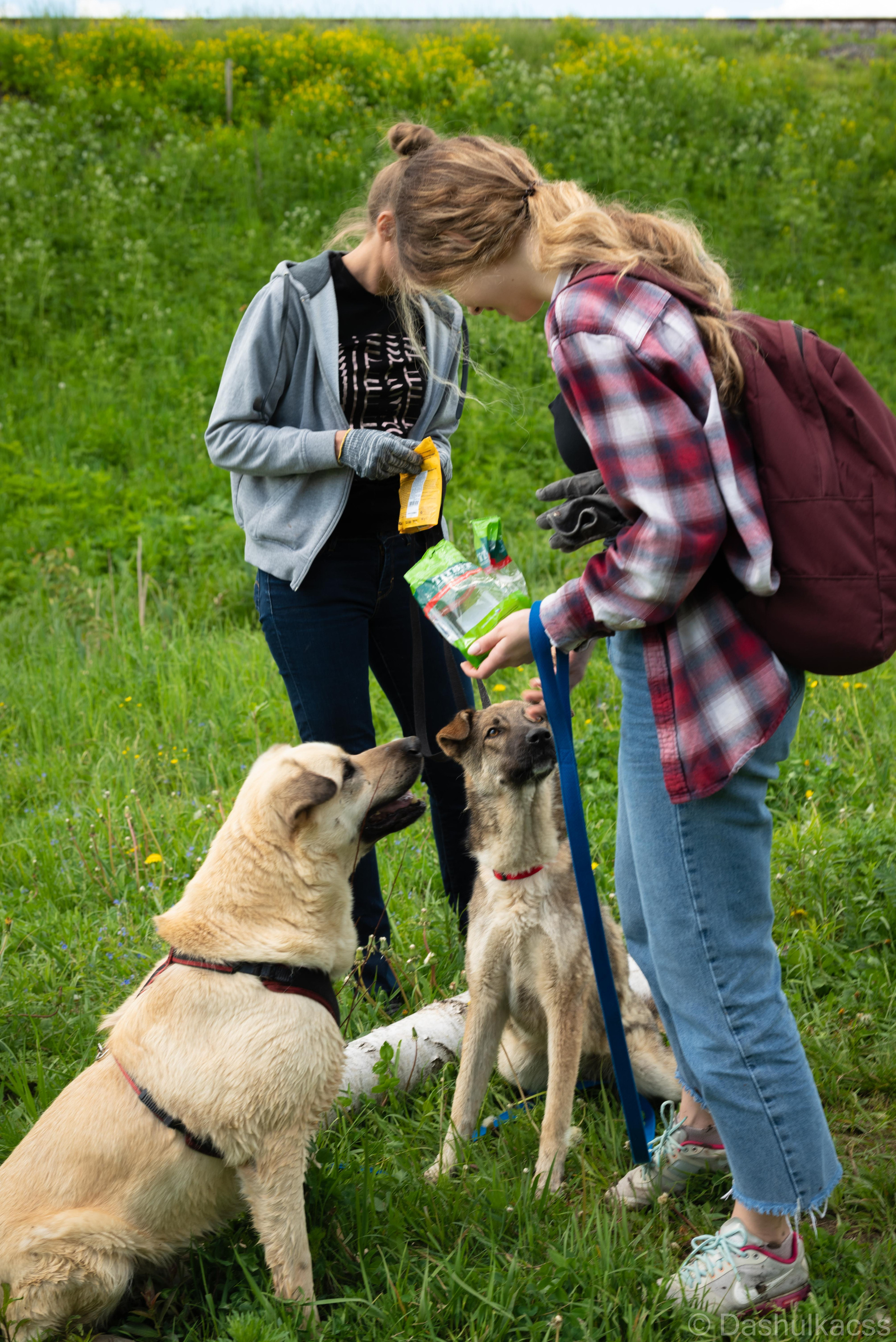 Выезд в приют. Фотограф Дарья Сафонова Dashulkacss
