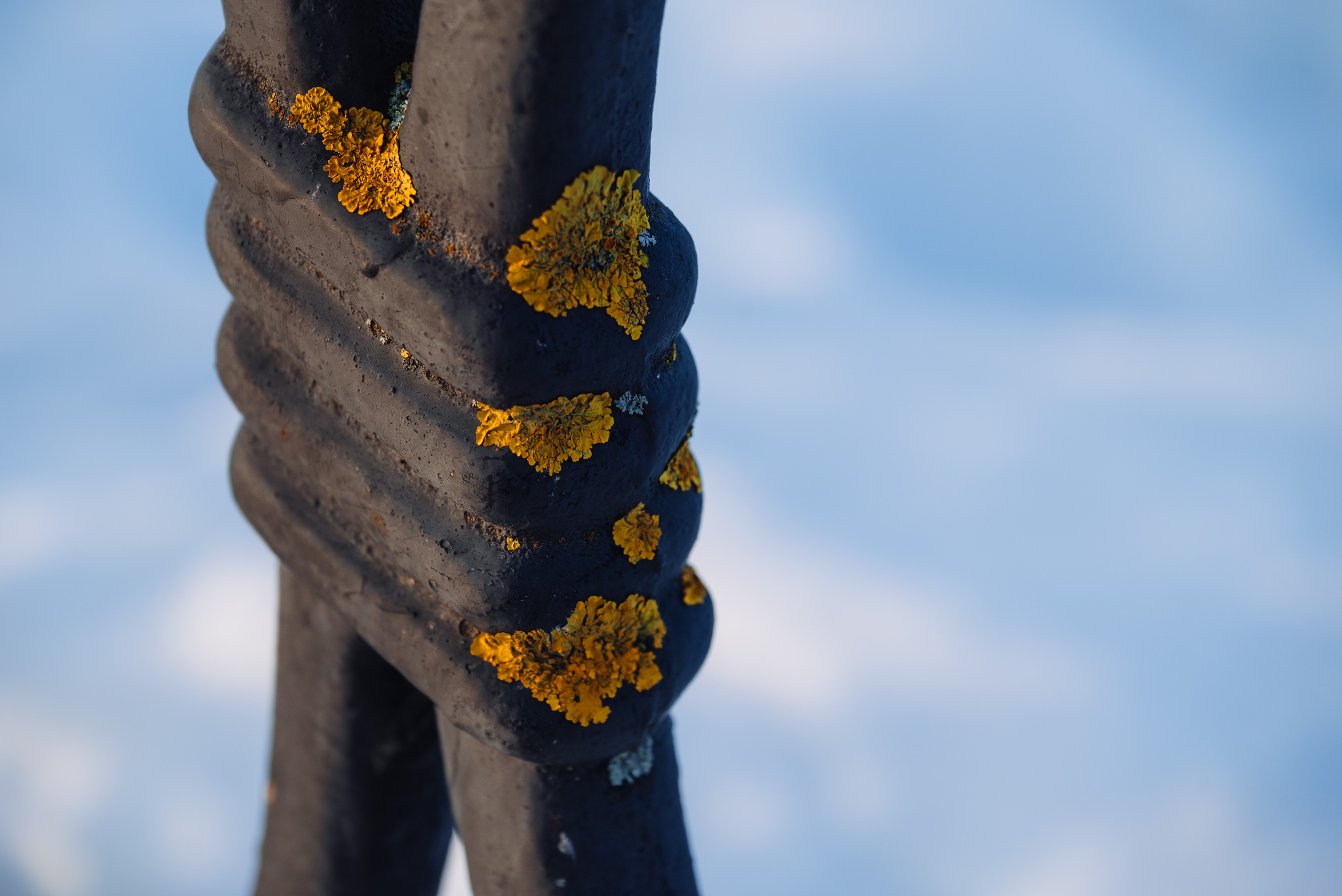 Углич и Калязин. Фотограф Дарья Сафонова Dashulkacss