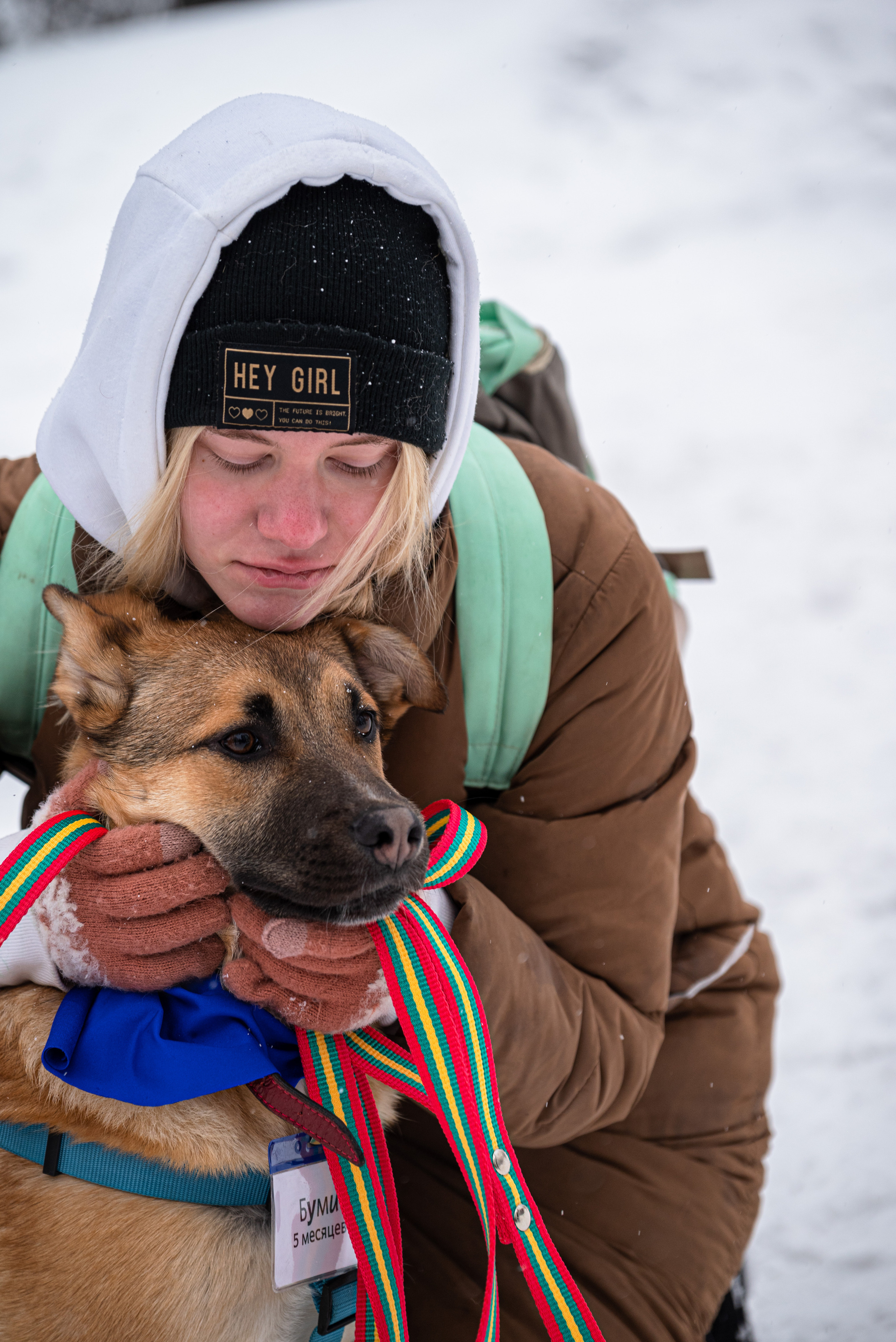 Всем по собаке. Фотограф Дарья Сафонова Dashulkacss